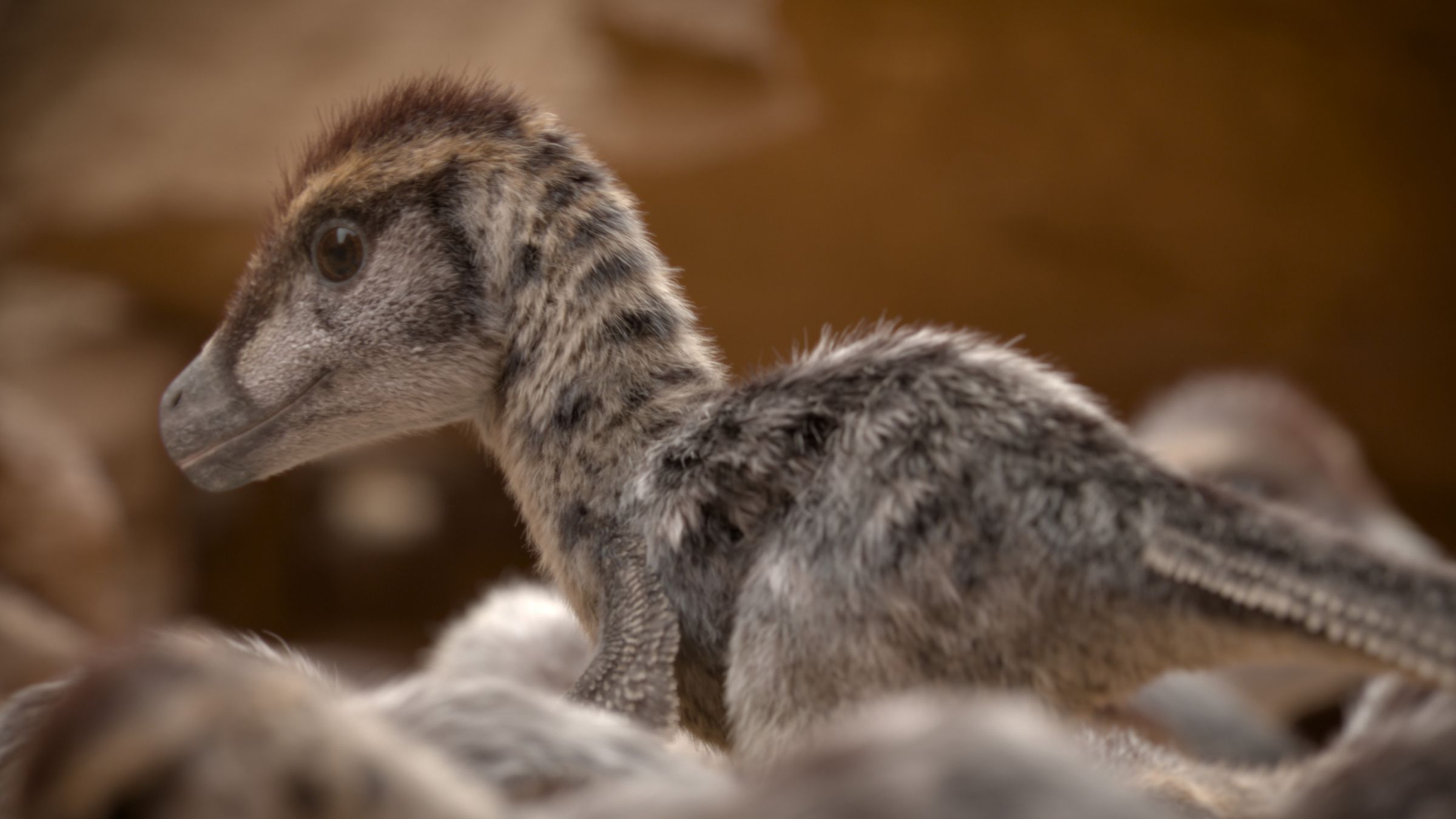 A baby raptor in Prehistoric Planet 2.