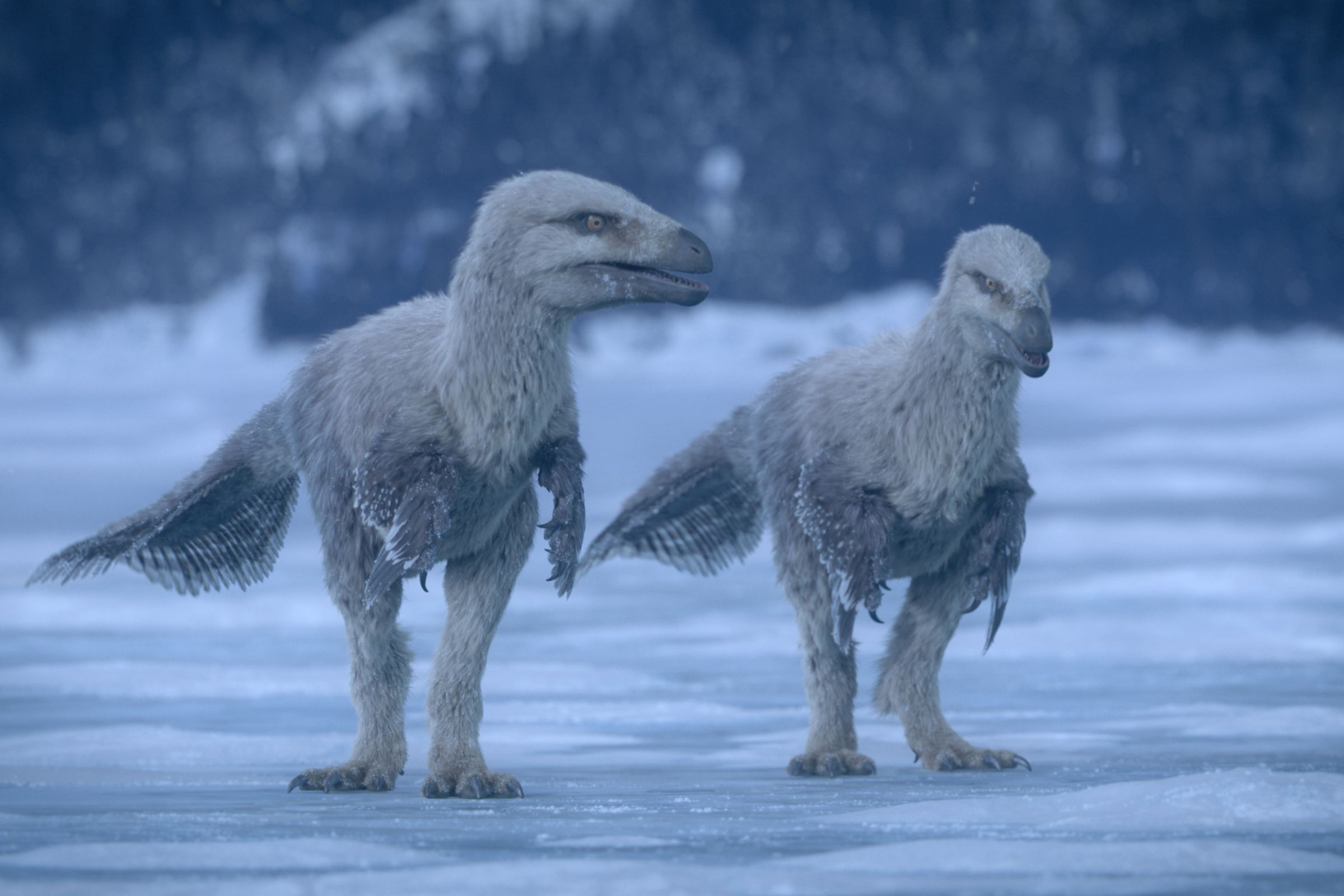A still image of two feathery dinosaurs in the Apple TV Plus series Prehistoric Planet 2.