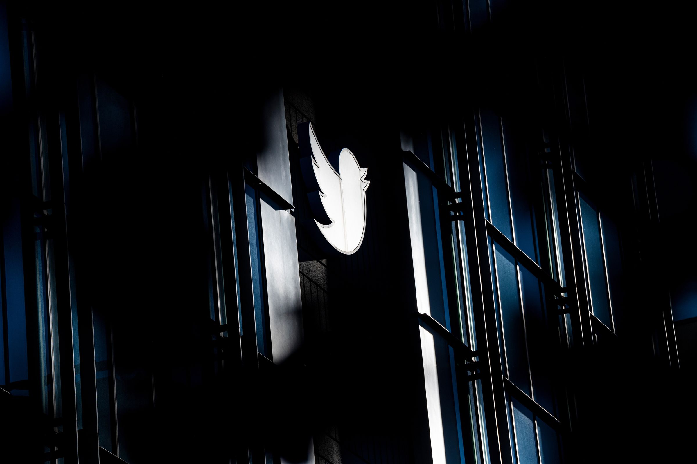 The Twitter logo, a bird, on the side of a building in shadow.