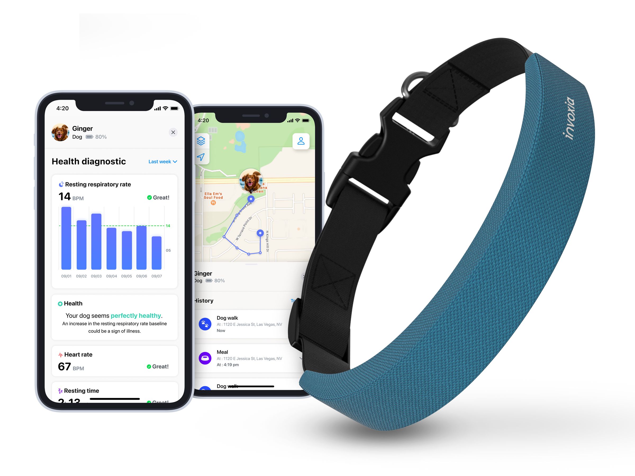 Screenshots of the Invoxia app next to a blue smart collar