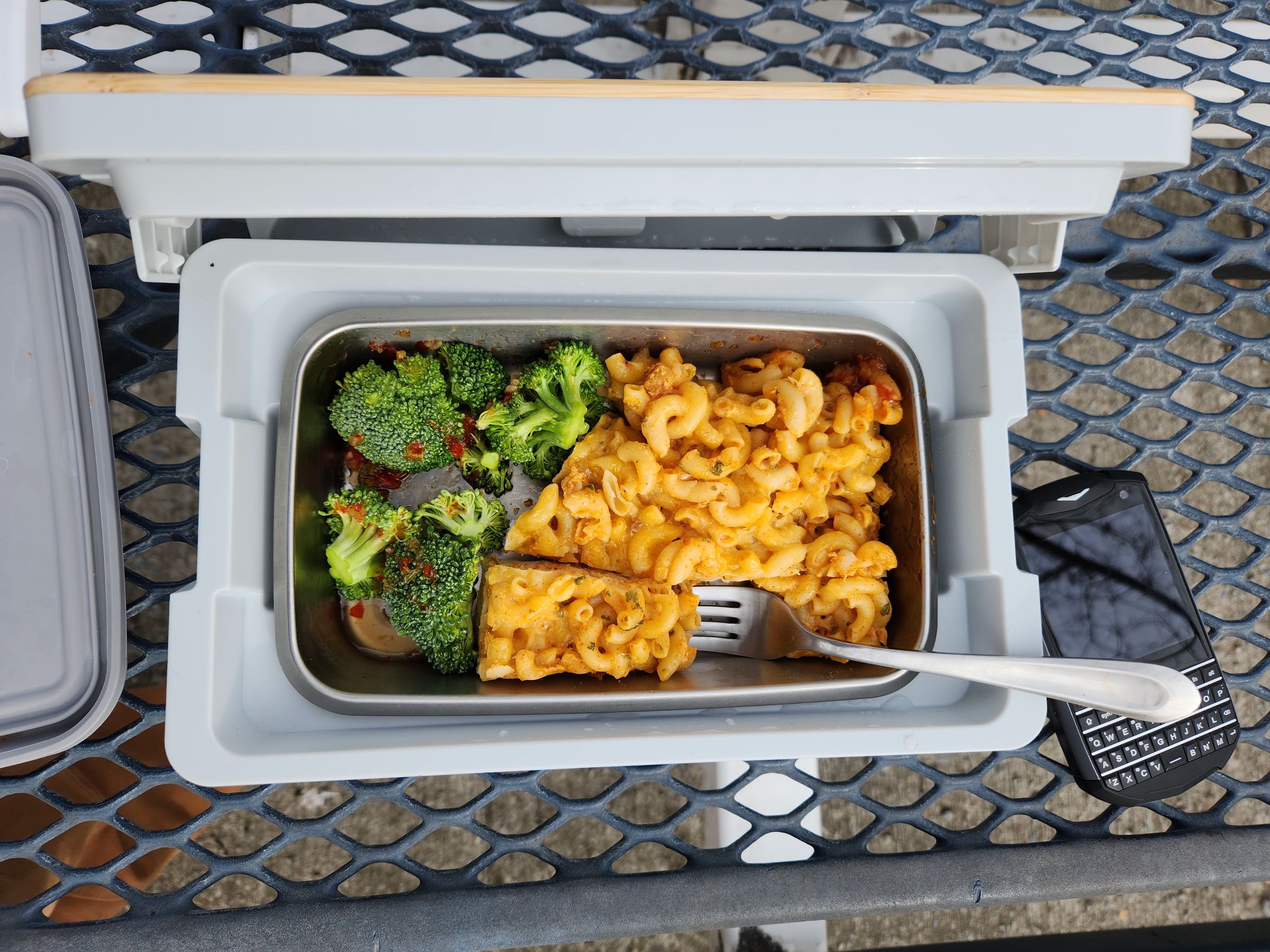 Photo of the Steambox on a picnic table with mac and cheese and broccoli in it.