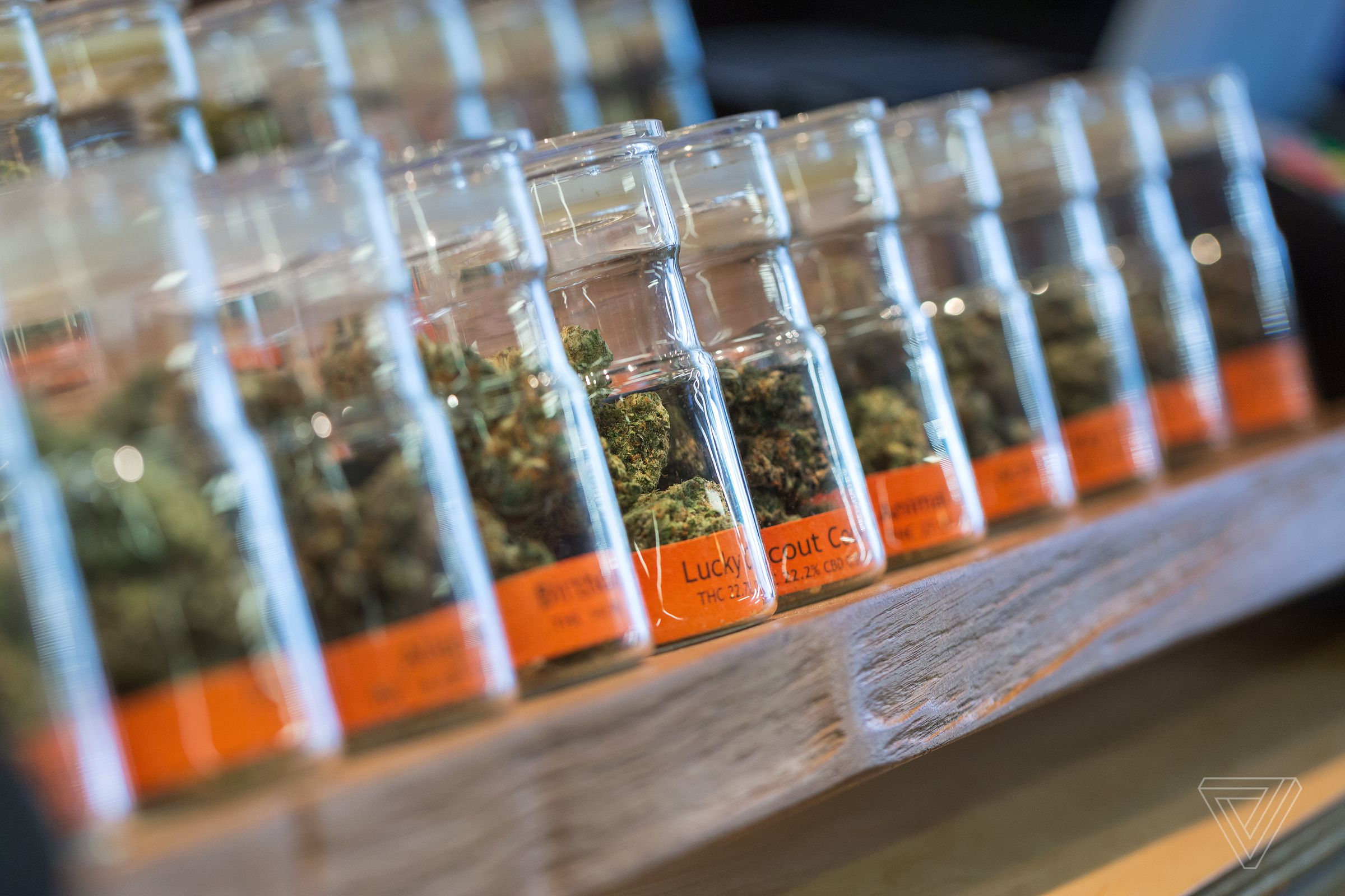 Jars of marijuana at a dispensary 