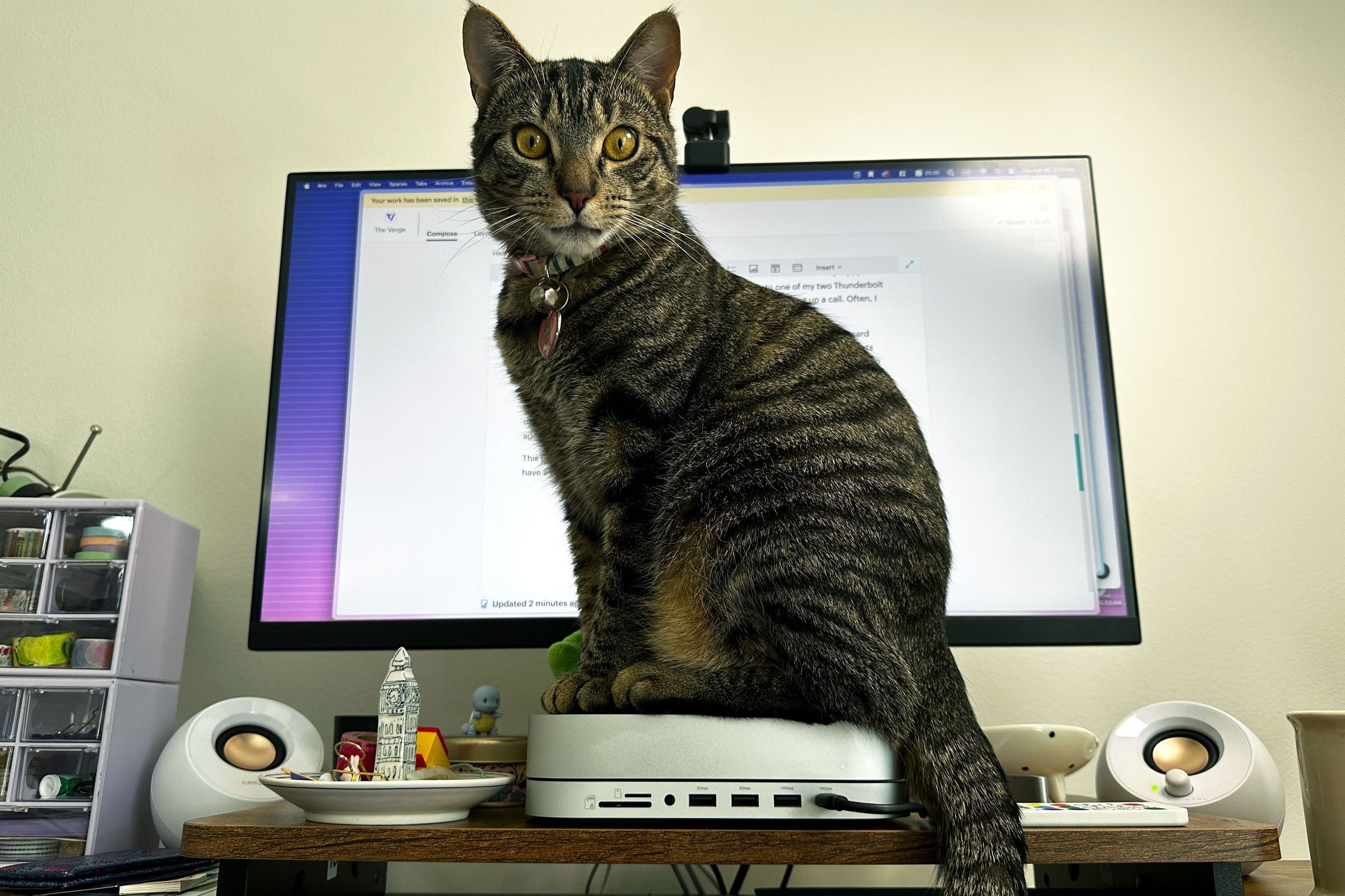 Cat staring imperiously down while sitting on the Mac Mini