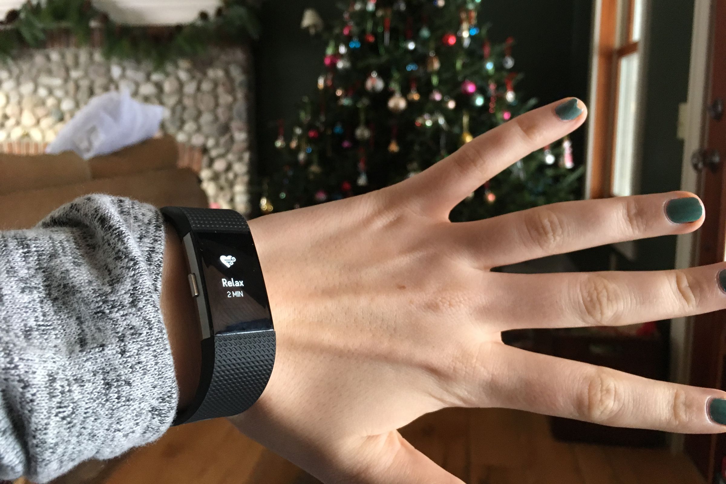 fitbit christmas