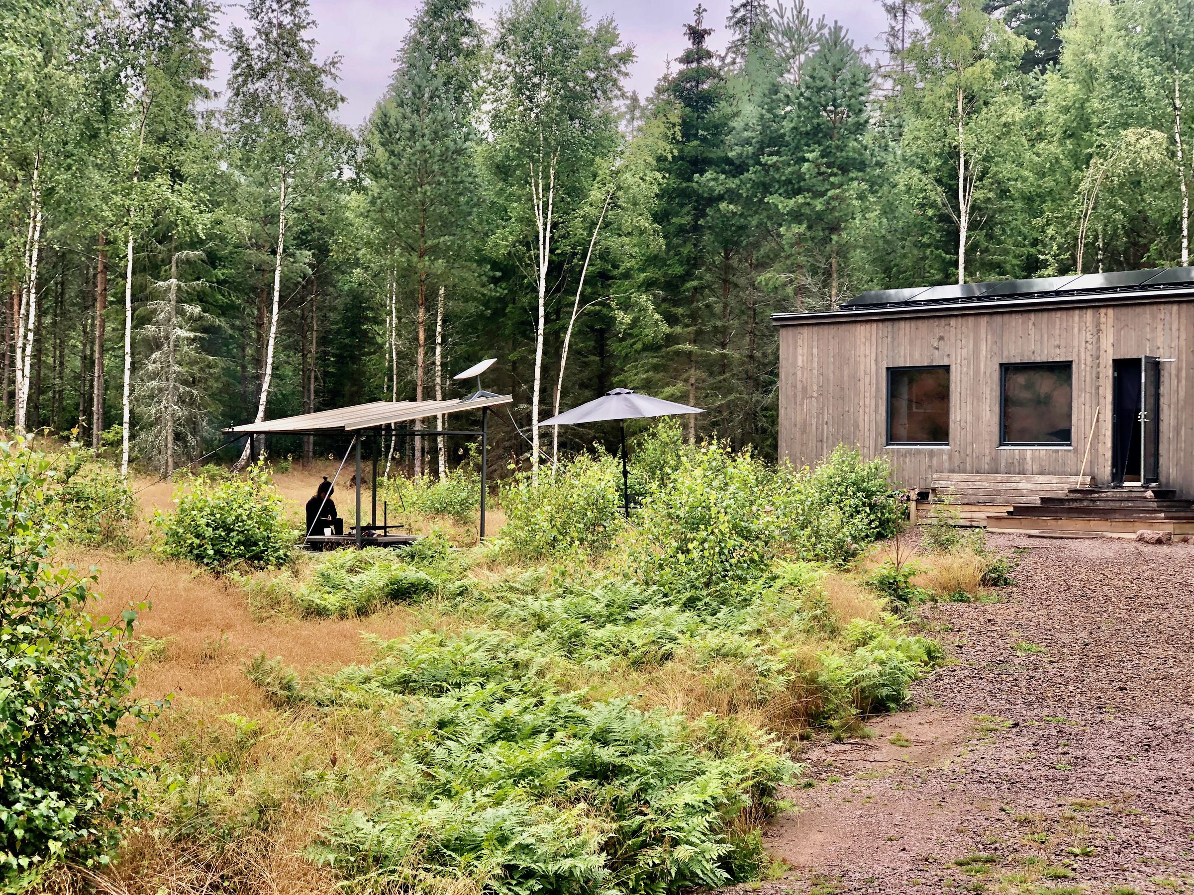 InForest cabins are completely off the grid, but that doesn’t mean you have to go without modern luxuries thanks to advances in solar power and Starlink internet. Can you spot the dish?