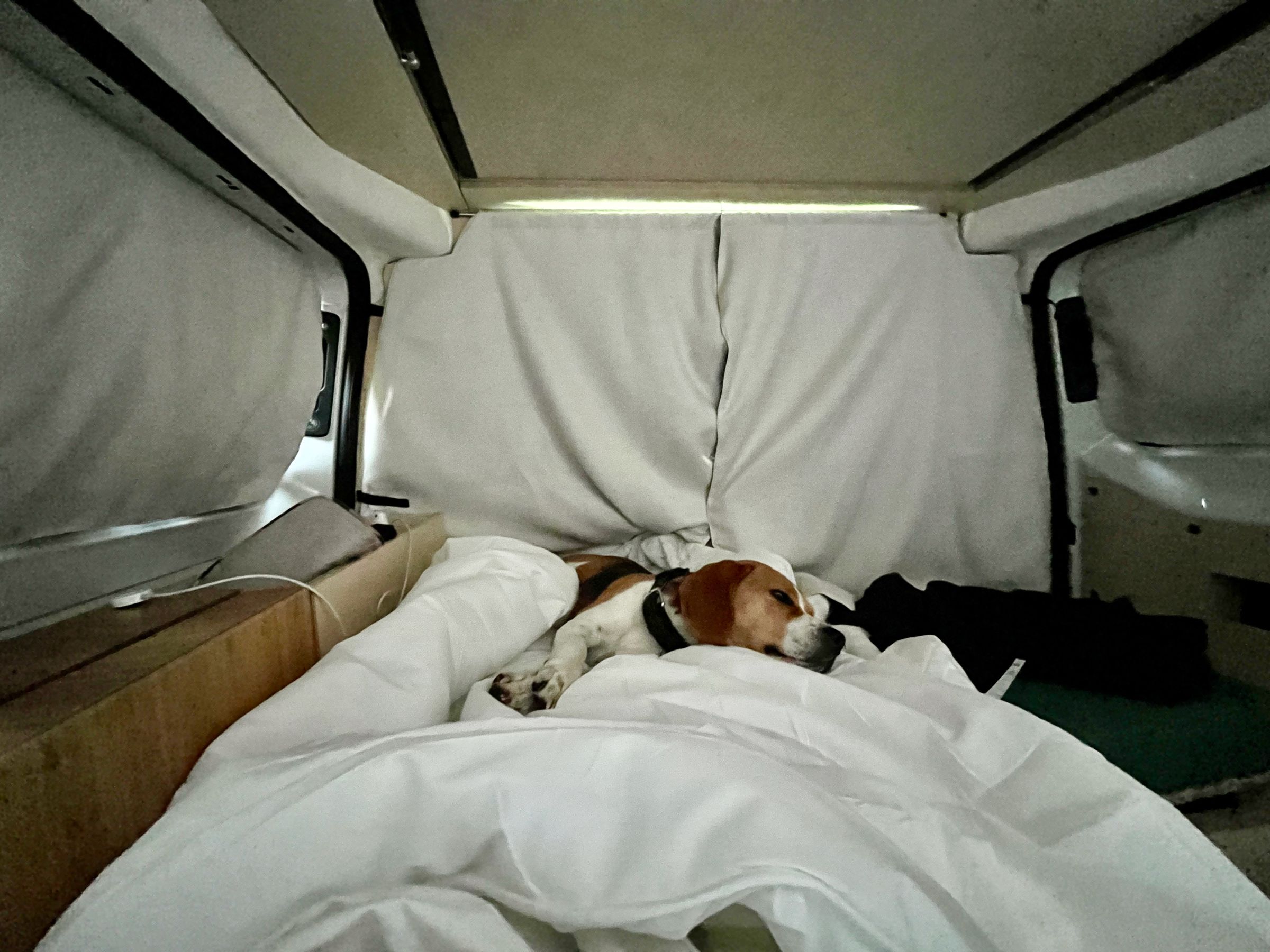 <em>The bed below is just long enough to accommodate one velcro dog.</em>