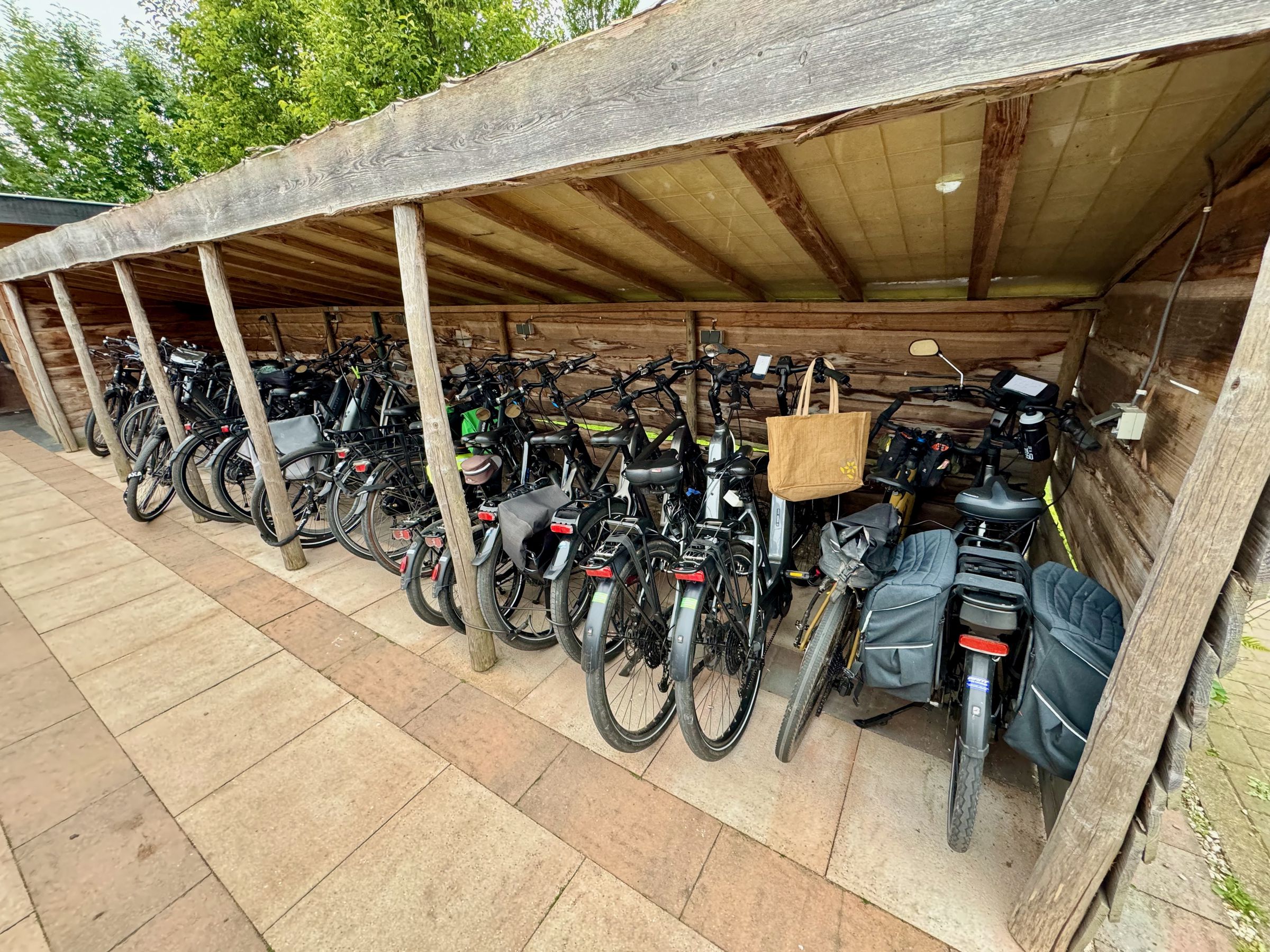 <em>These are almost entirely e-bikes that mostly arrived strapped to the backs of RVs by nomadic over 60-year-olds.</em>