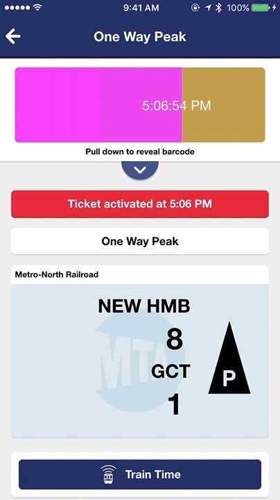 iPhone screen recording of a metro north eticket