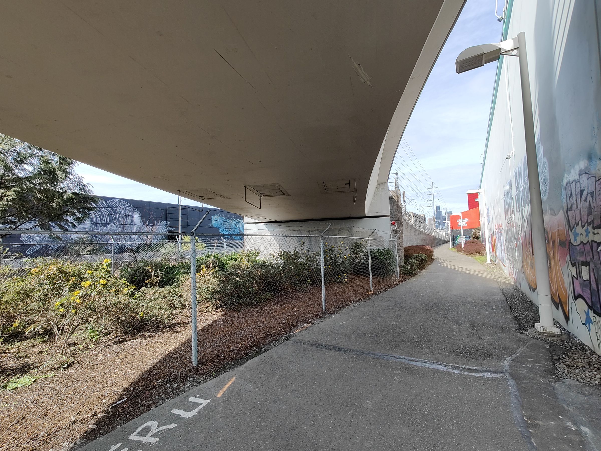 View of a path with bridge overhead and graffiti tagged wall to the right.
