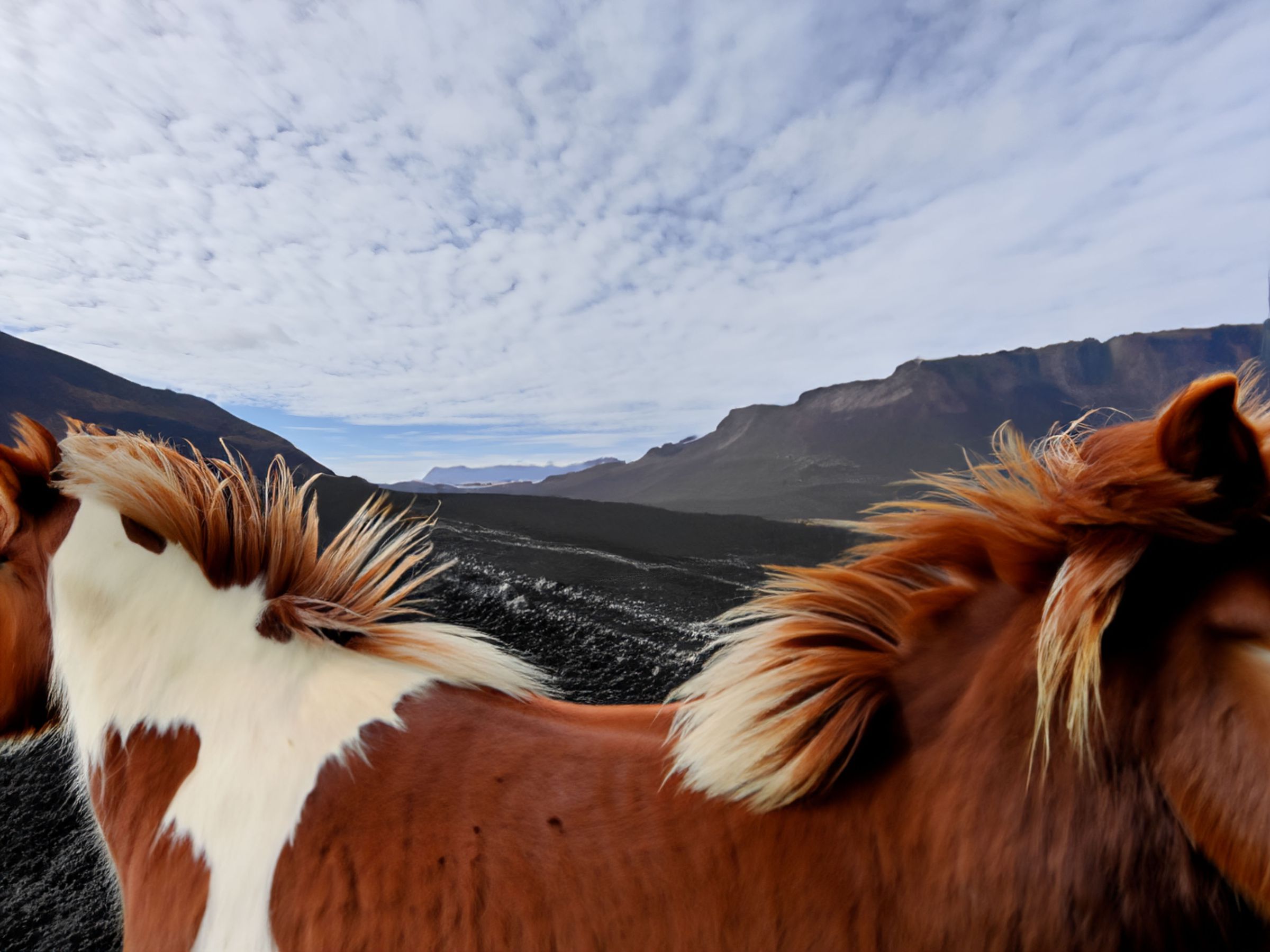 Image of the back of a horse with two heads in front of glacial valley.