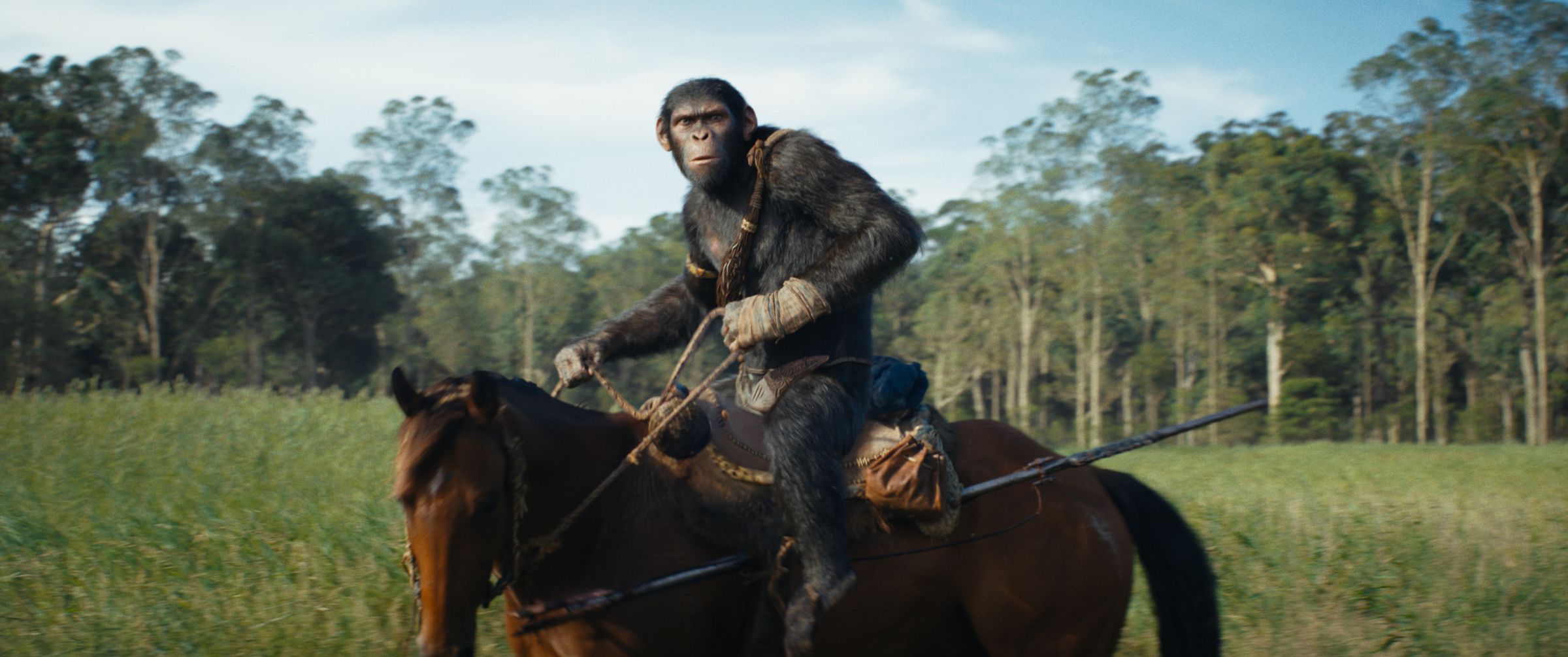 Kingdom of the Planet of the Apes is a gorgeous echo of the franchise’s past