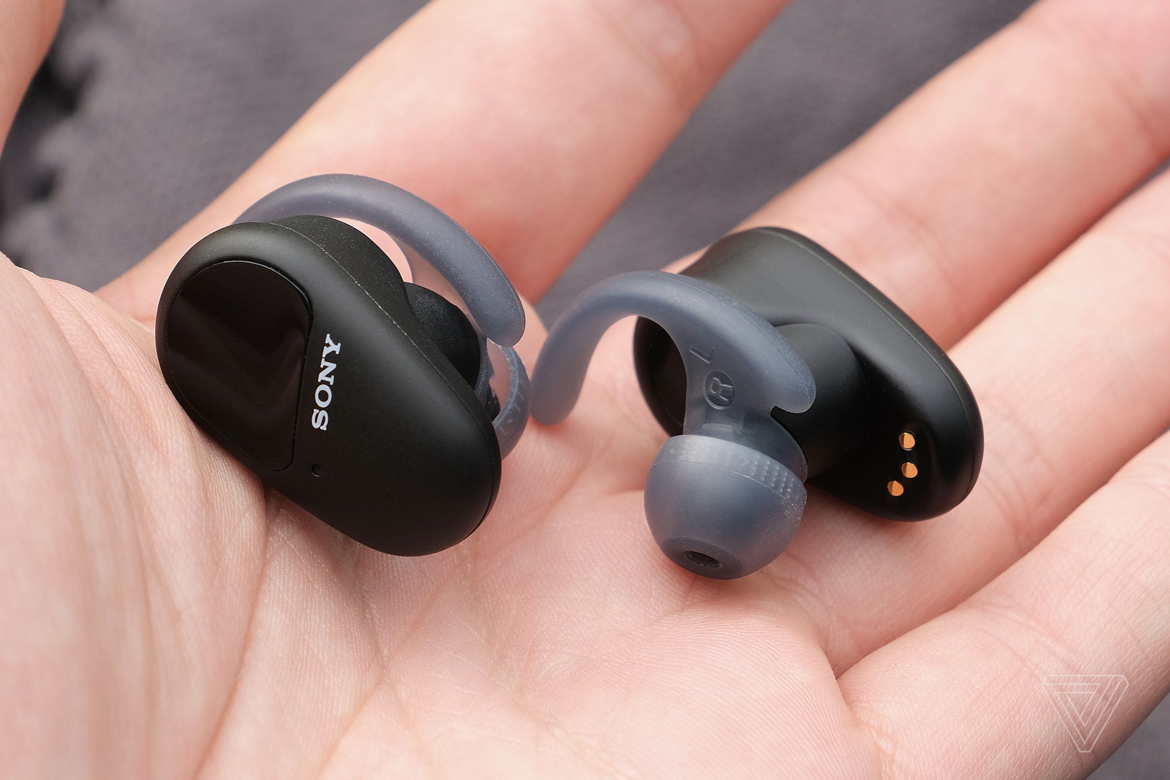An image of Sony’s SP-800N earbuds in a hand, showing both sides of the earbuds.