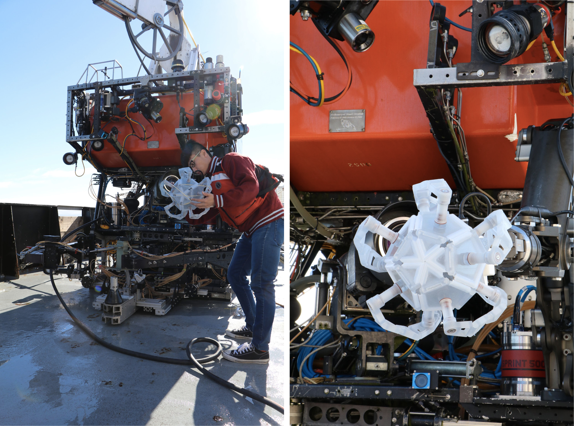 Lead author of the research, Zhi Ern Teoh, inspects the RAD when attached to an underwater rover (left) and a close-up of the RAD, folded shut (right).