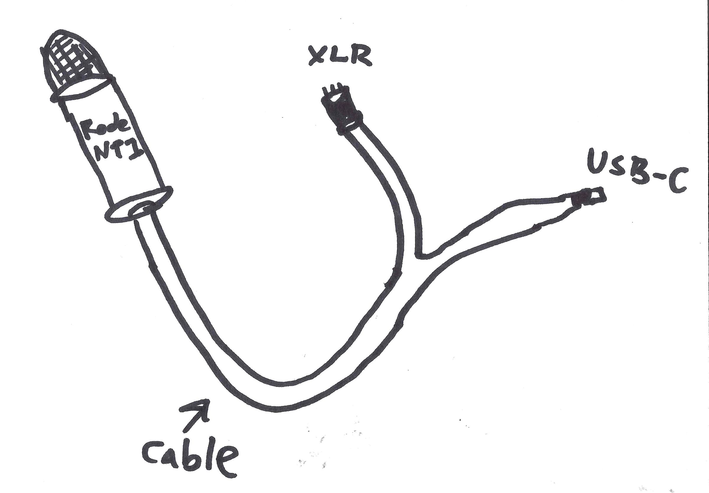 A mediocre drawing of a custom cable, where one end plugs into the Rode NT1, and the other end splits off into an XLR end and a USB-C end