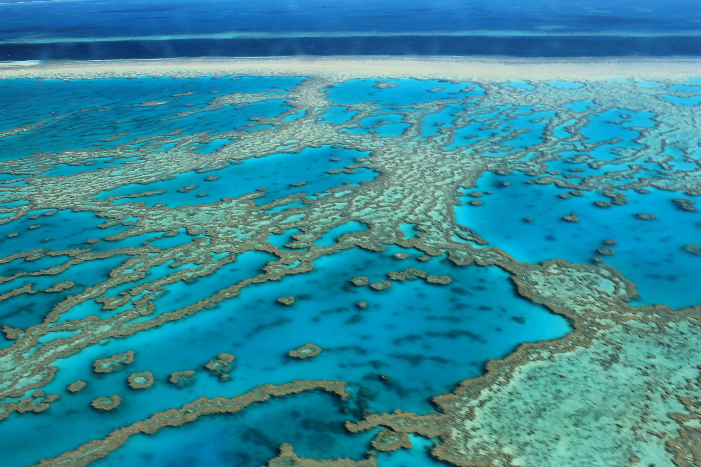 Большой барьерный риф ответ. Великий Барьерный риф Австралия. Коралловые рифы большой Барьерный риф. Большой коралловый риф в Австралии. Большой Барьерный риф ЮНЕСКО.