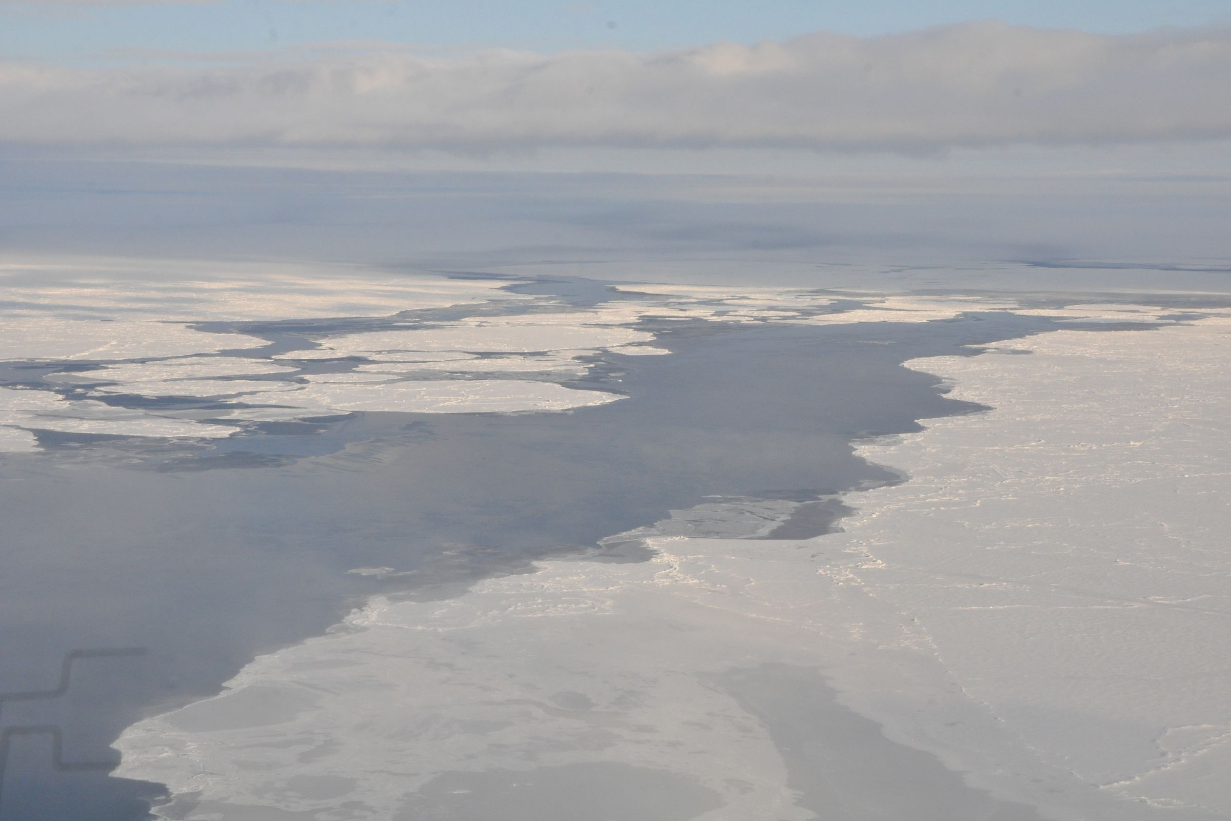 Arctic sea ice in Beaufort/Chuckchi Seas seen from NOAA's P3 flight in autumn 2014