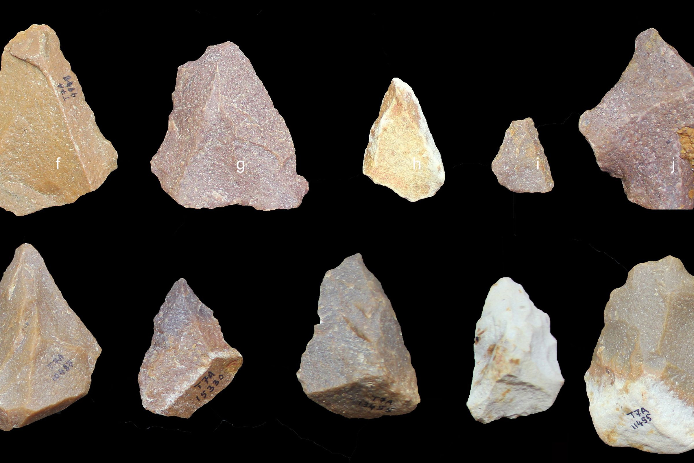 Stone tools recovered at the Attirampakkam site in India. 