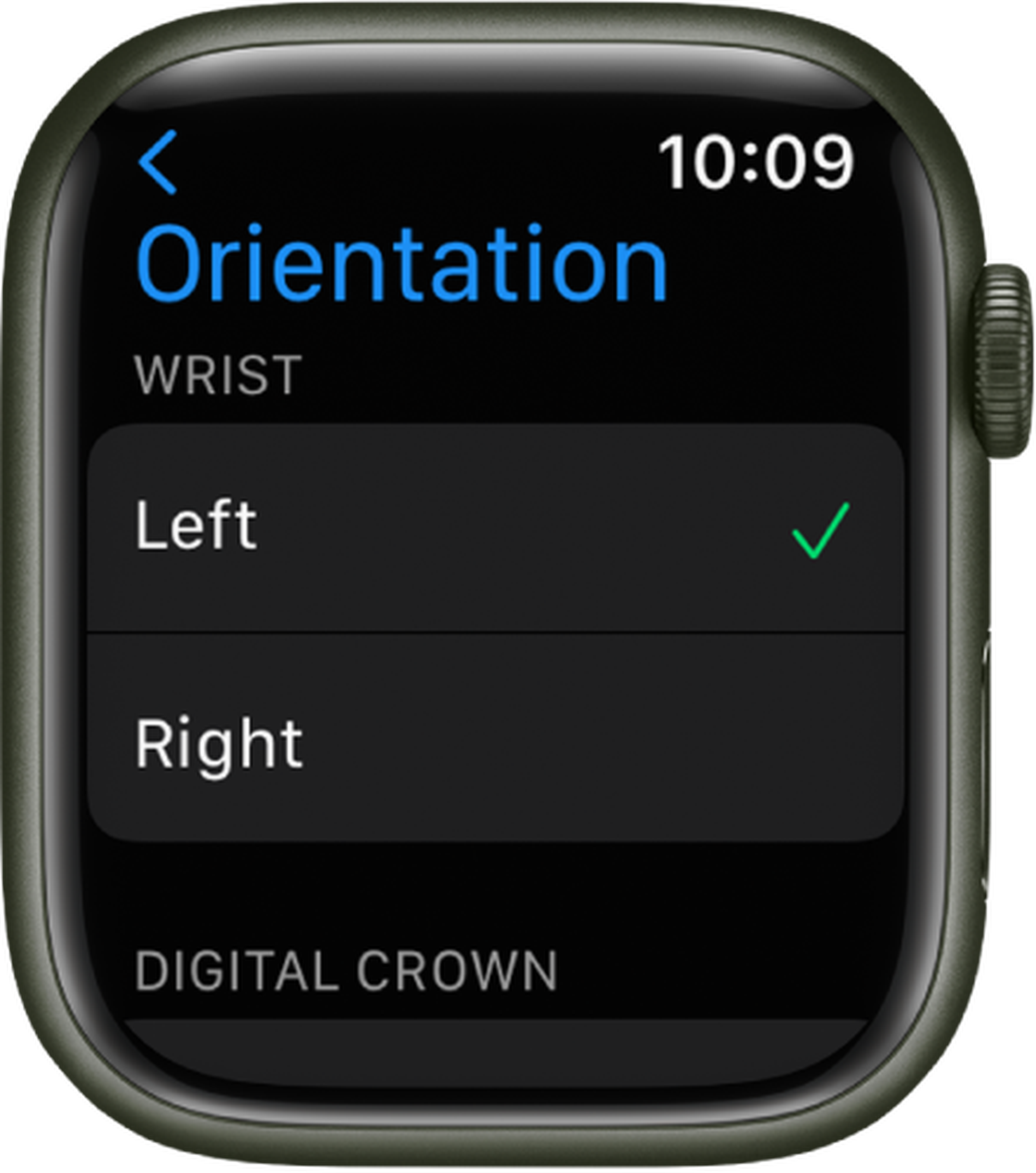 Render of the orientation menu shown on an Apple Watch screen