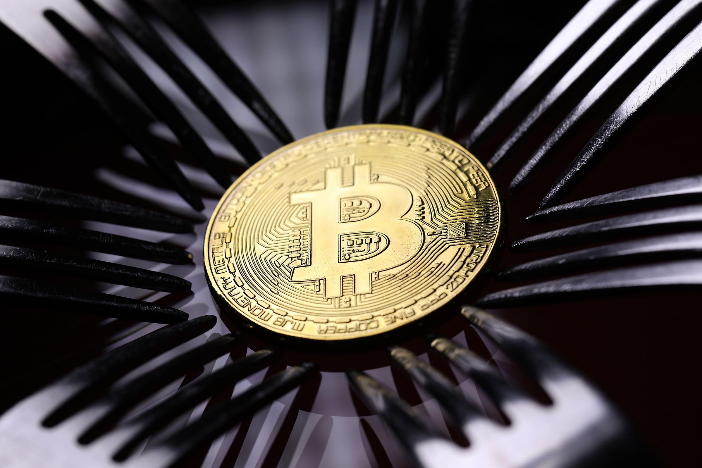 Bitcoin Continues To See Unprecedented Growth