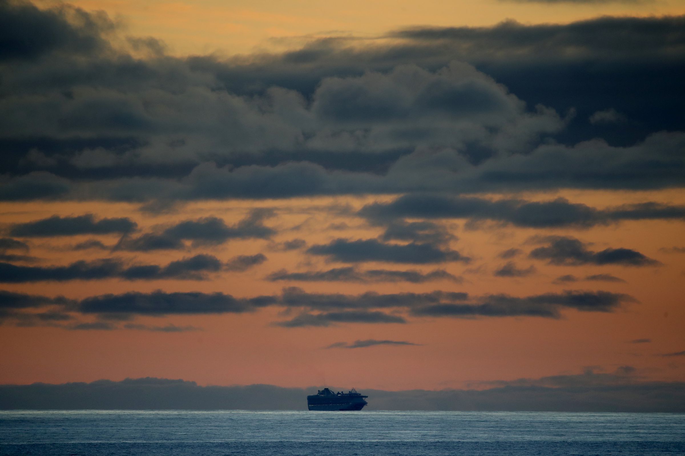 Cruise Ship Stranded Off San Francisco After 21 Test Positive For Coronavirus