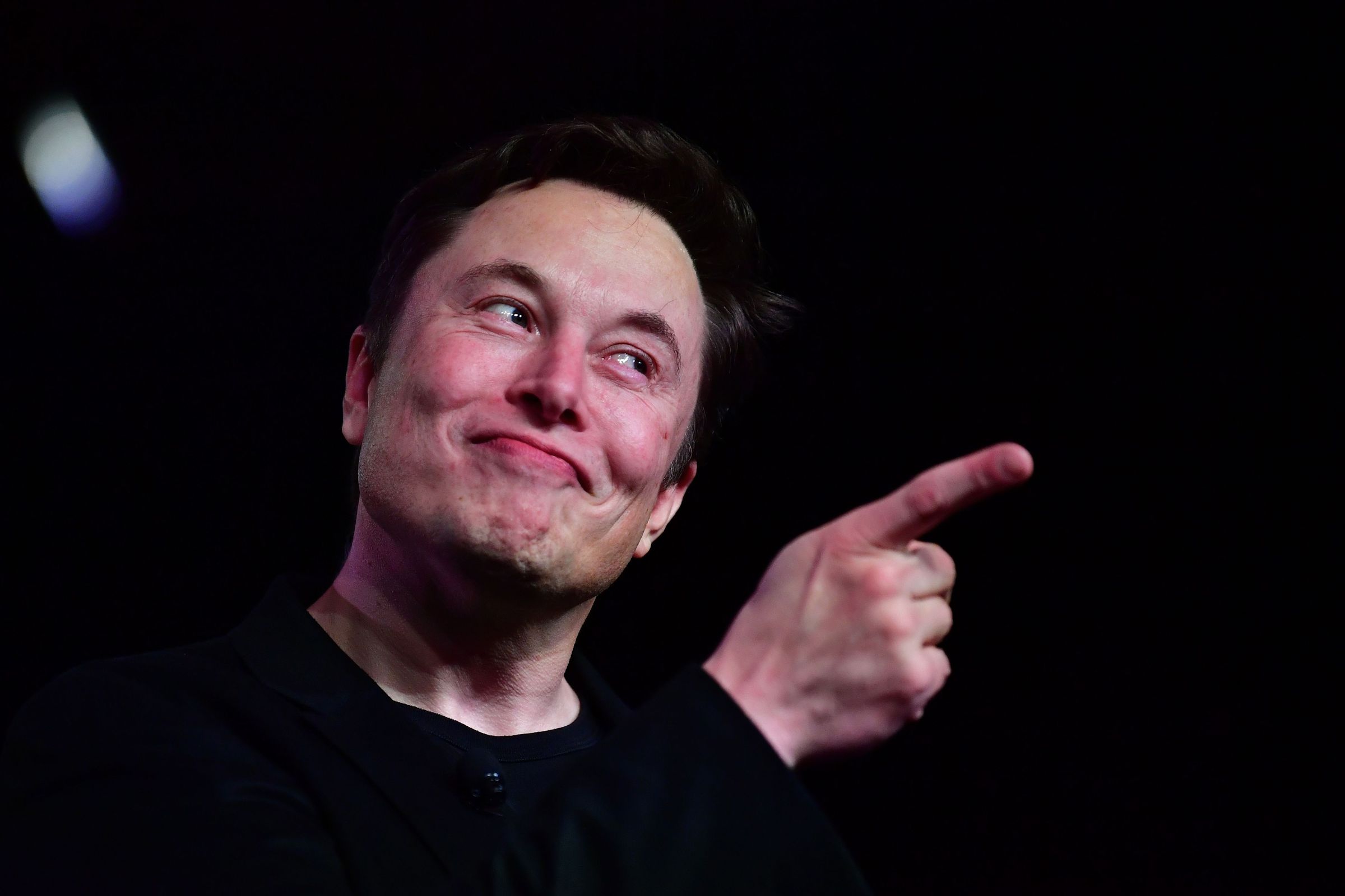 Elon Musk smirks and points his finger.