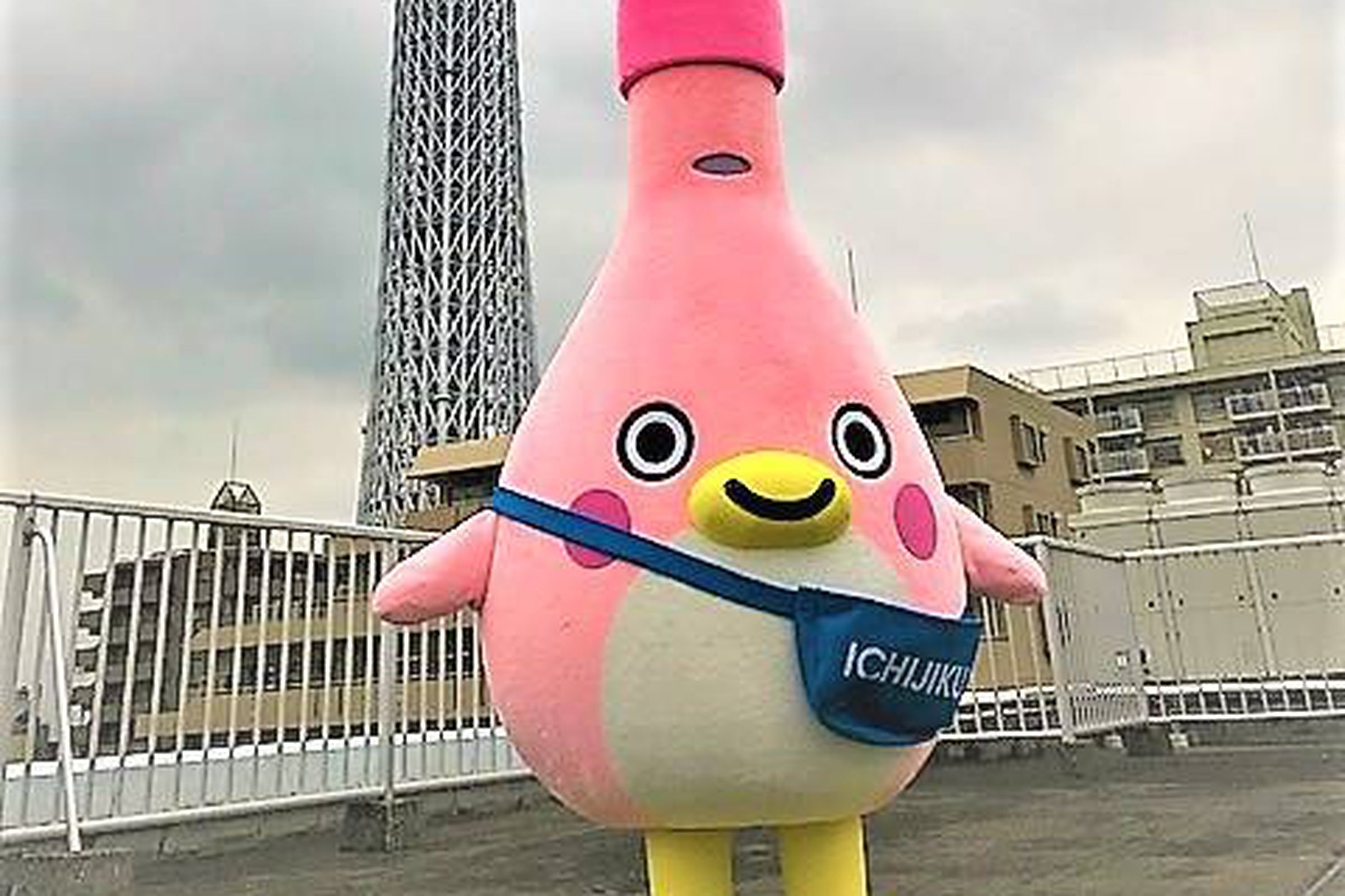 Kan-chan mascot for Ichijiku enema