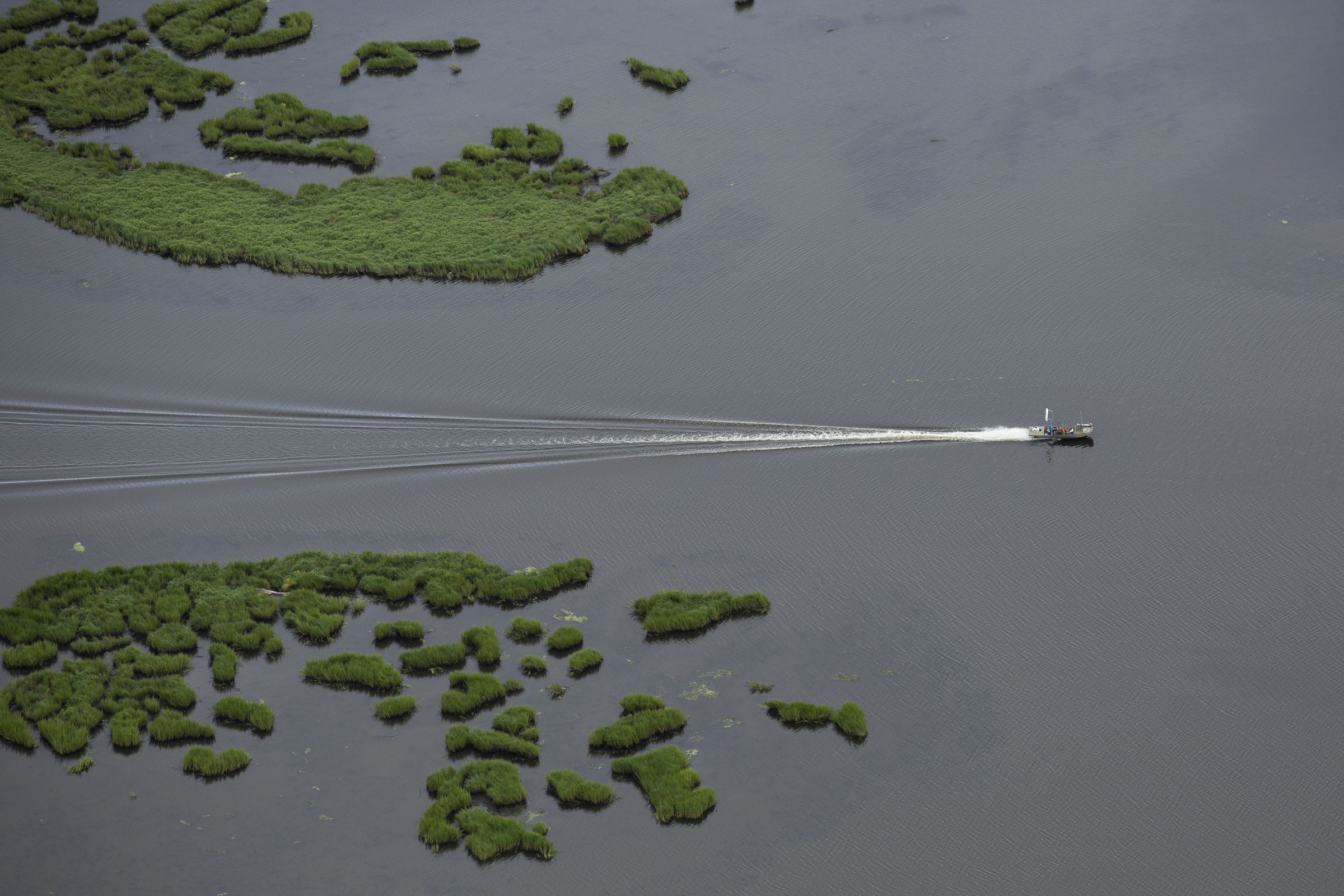 A boat moves through the marshland and water.