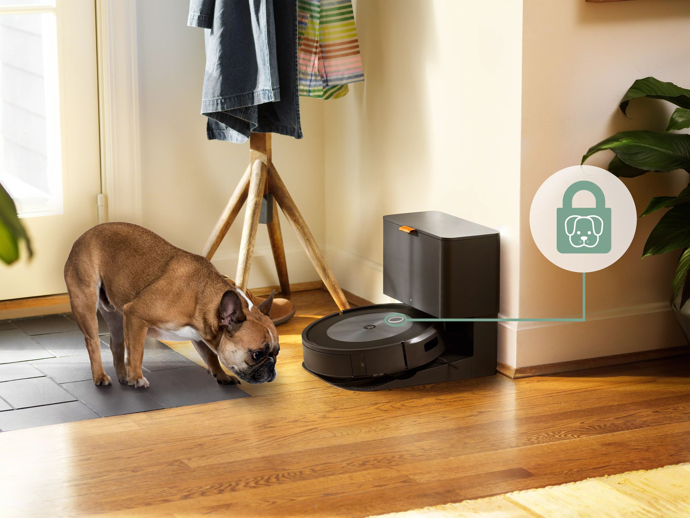 Good news, you can now prevent your dog from vacuuming your house.
