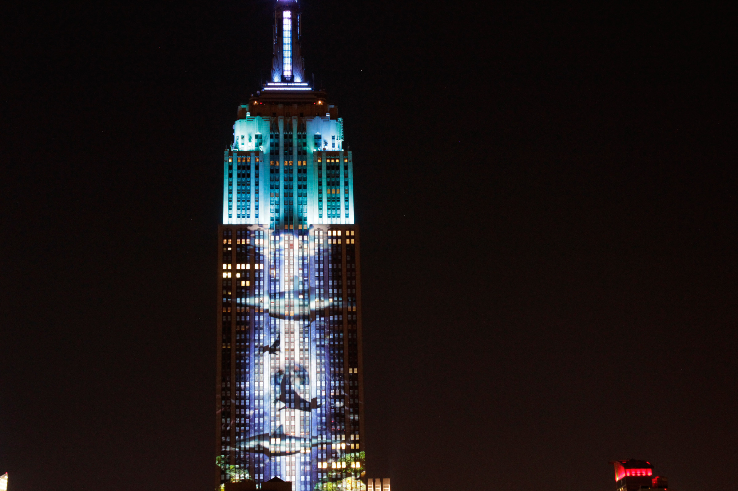 Watching endangered species illuminate the Empire State Building 