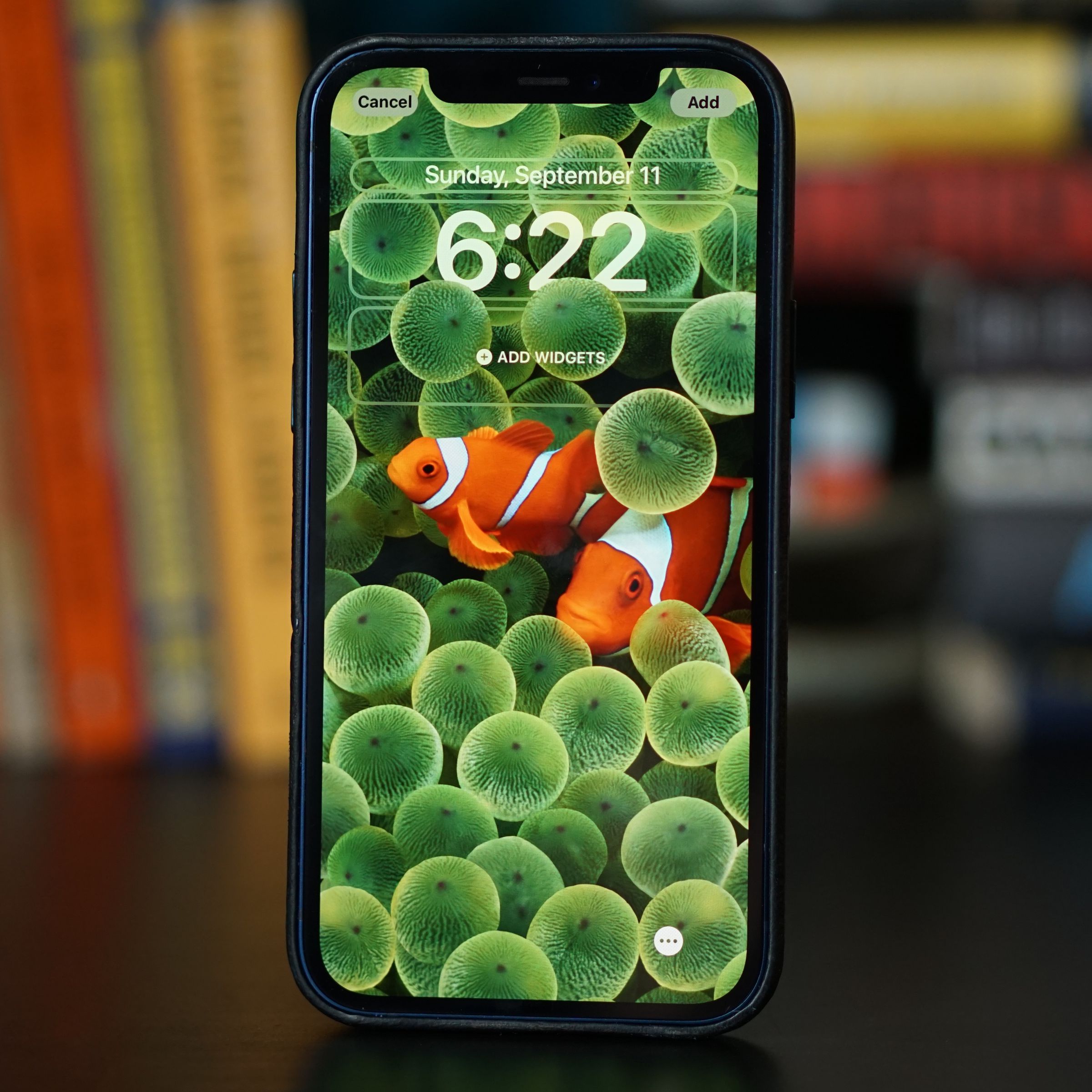 A photo of an iPhone running iOS 16, customizing a lock screen with a photo of fish.