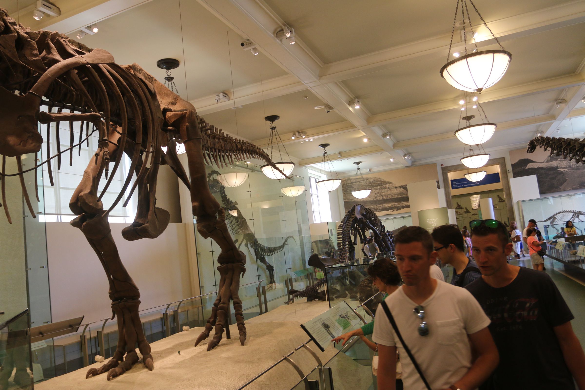 The David H. Koch Dinosaur Wing At The American Museum Of Natural History