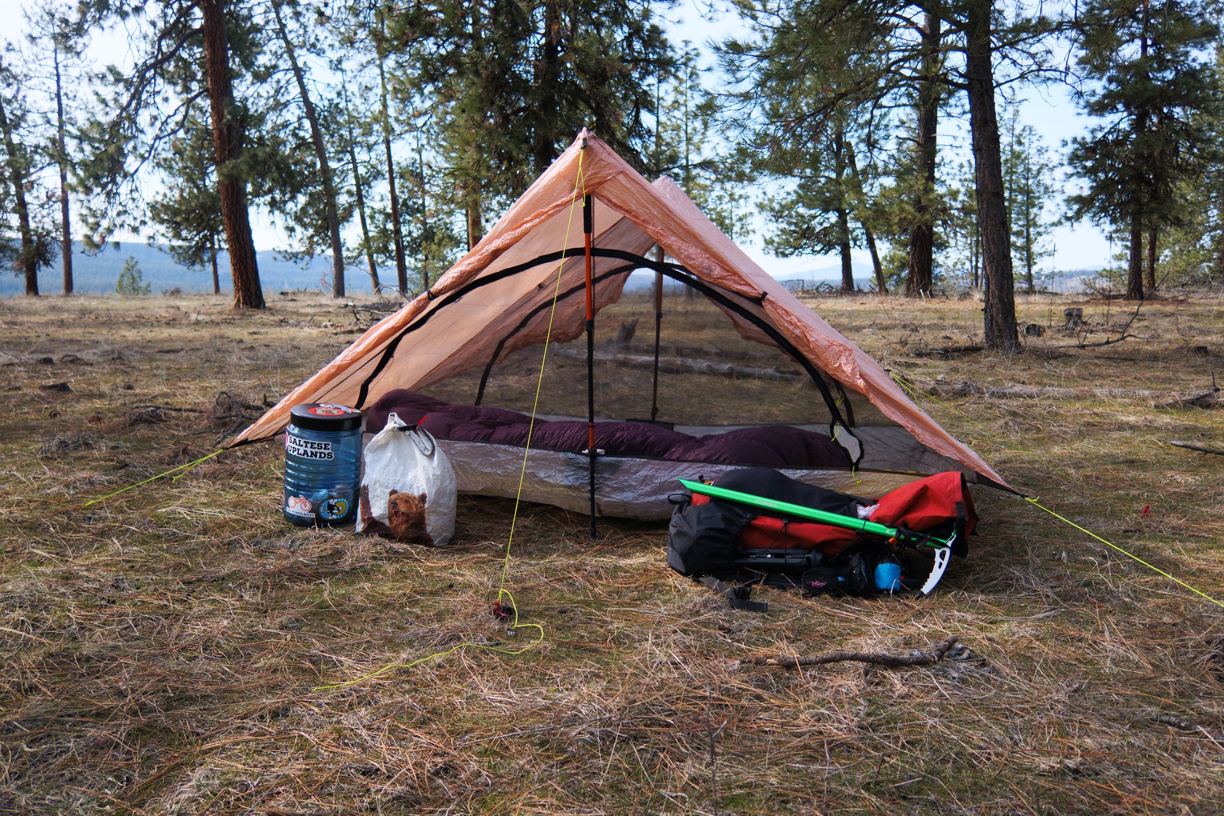 Photo of a tent in some trees, with a backpack and bear can in front of it.