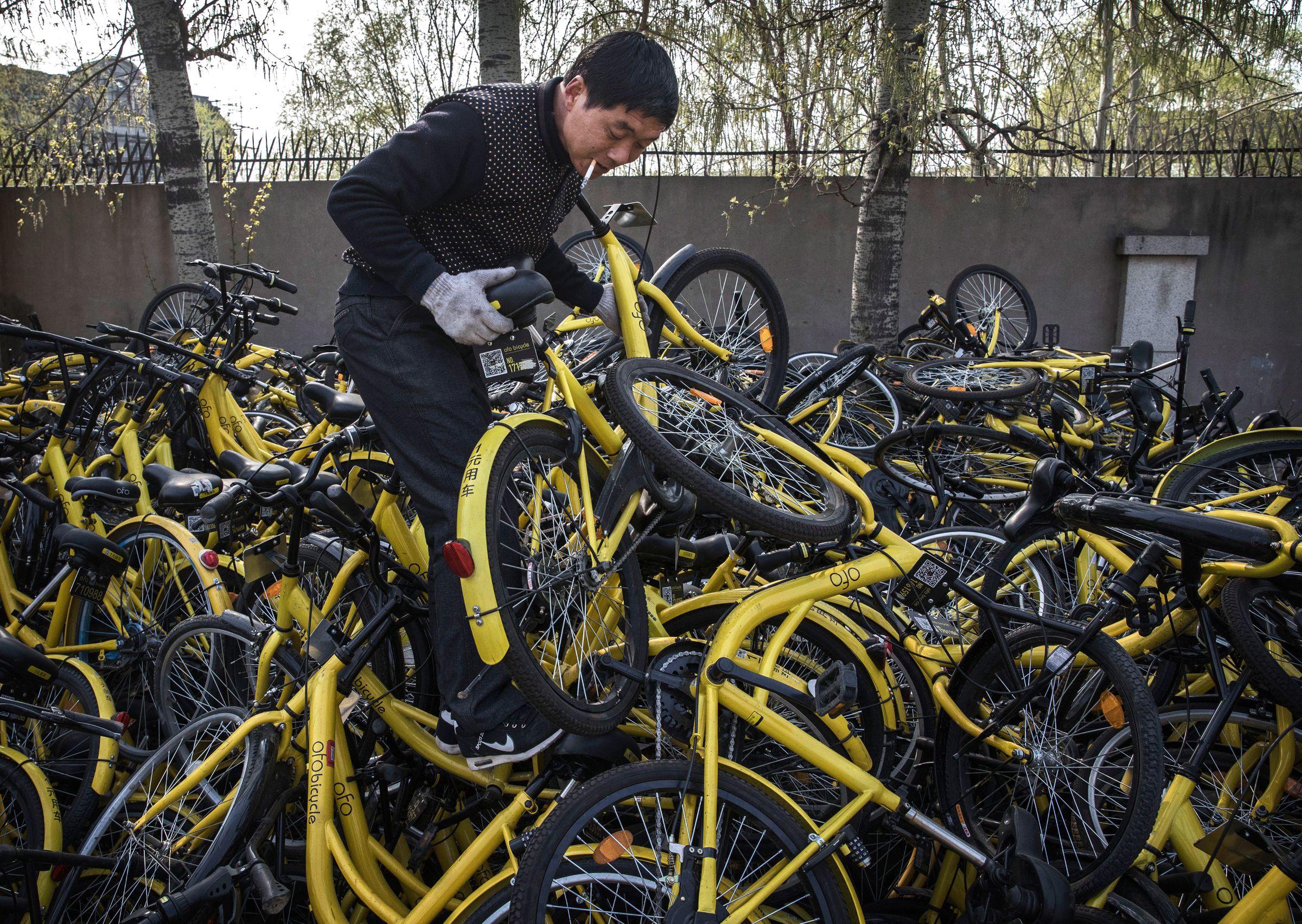 Beijing's Bike Share Boom Creates Refuge for Battered Bicycles
