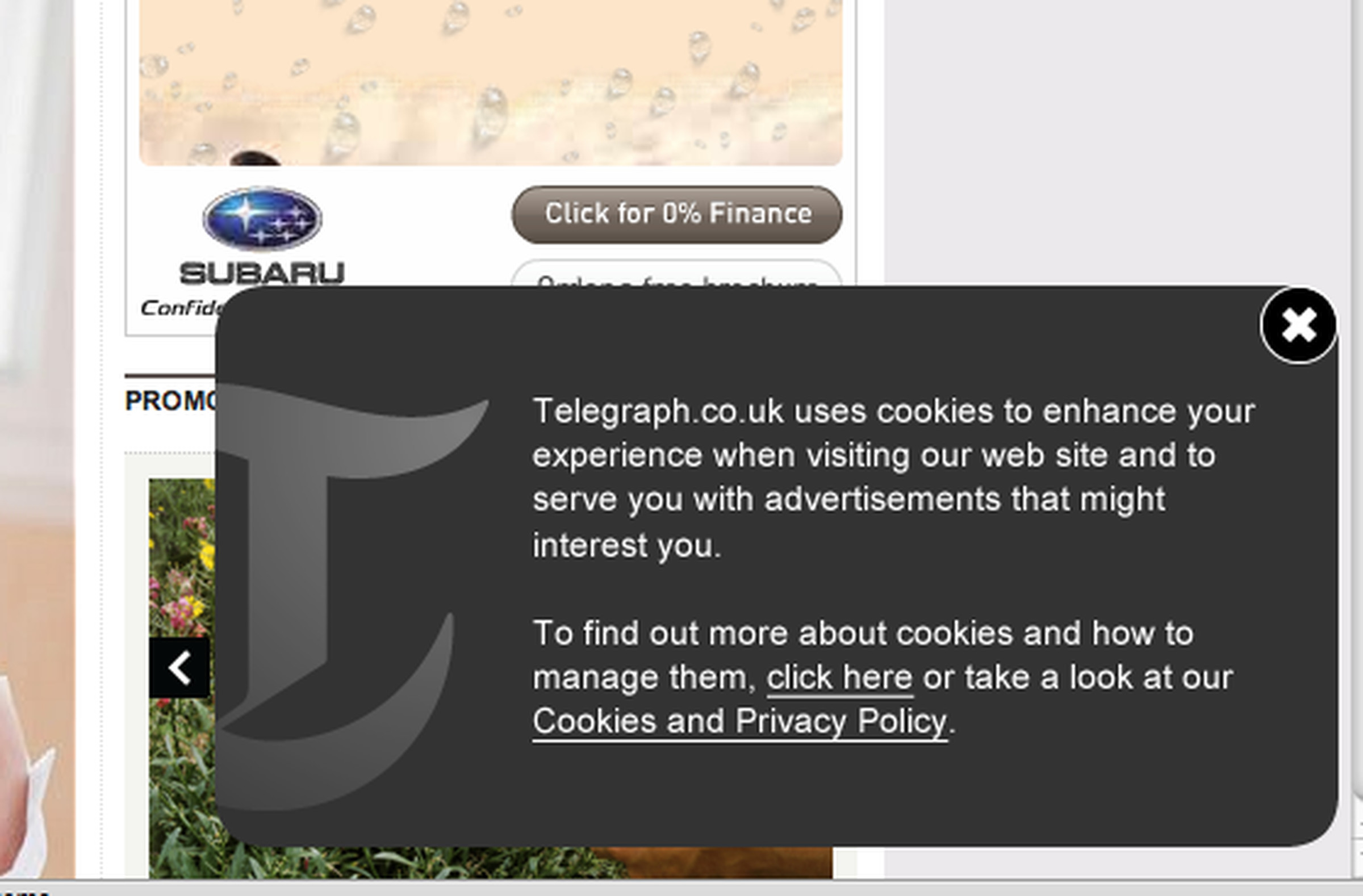 An example of a cookie banner on The Telegraph