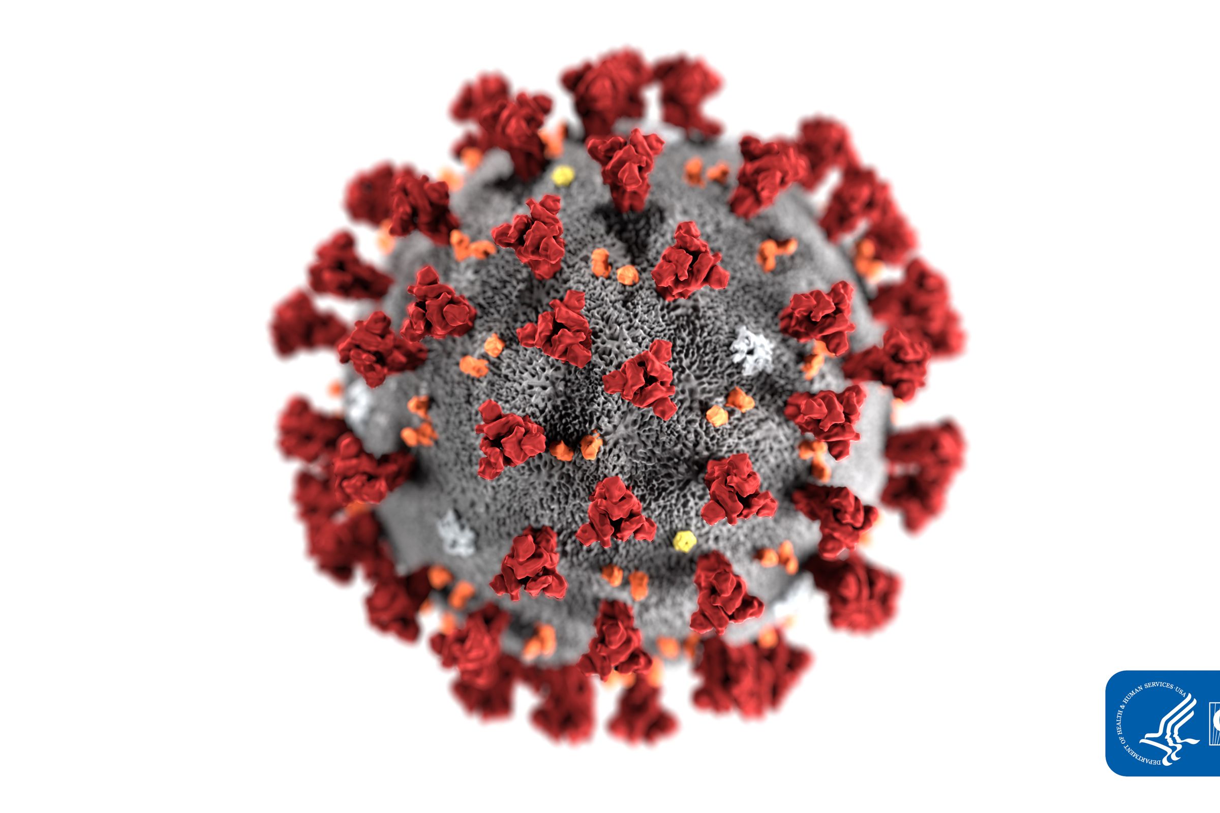 Coronavirus Illustration
