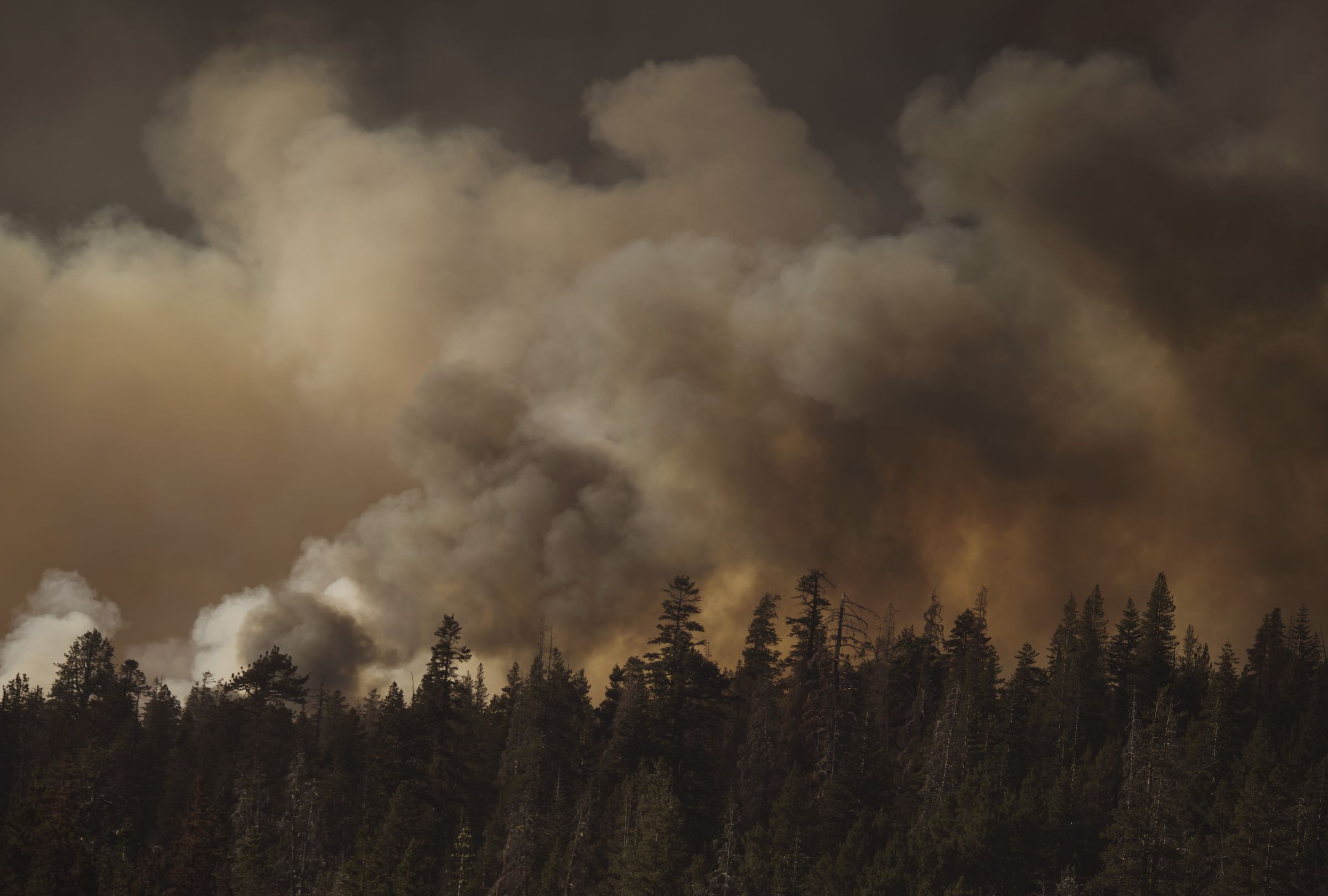 Lake Tahoe Fire Threat Grows As High Winds Fan Flames