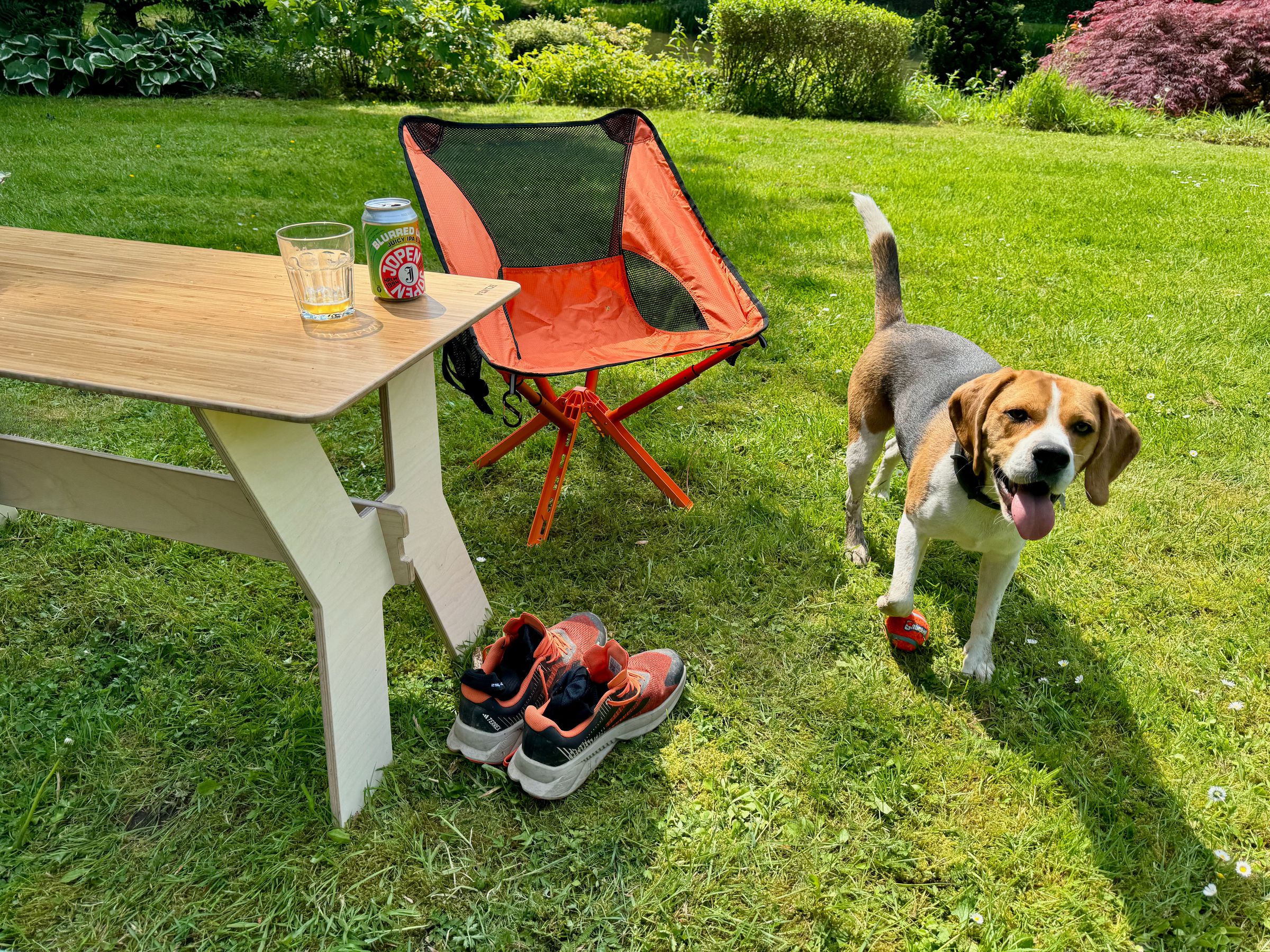 The Sitpack Campster 2 chair on grass near a table that’s next to a pair of shoes and a dog that wants you to throw his ball.