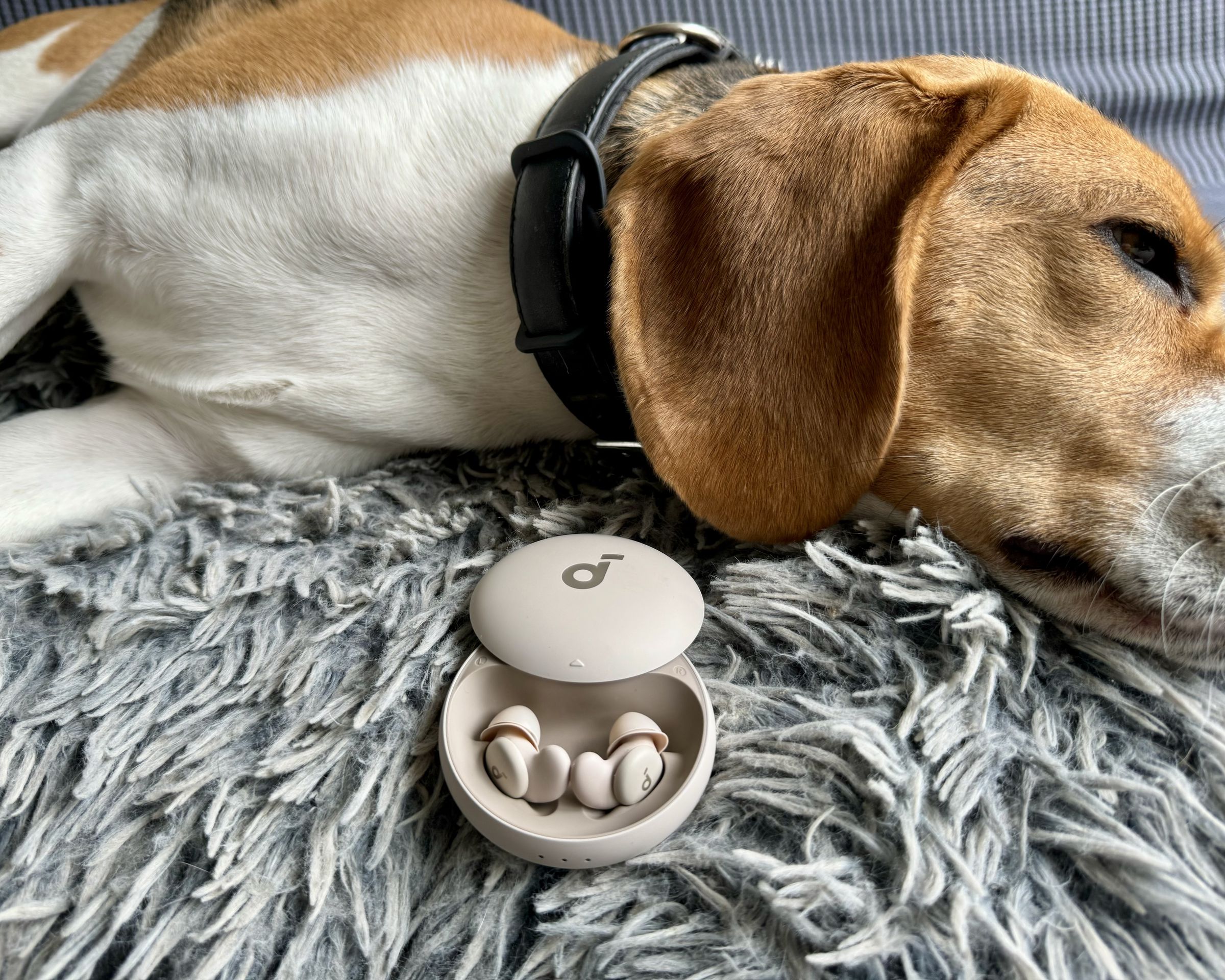 A beagle lies on its plush sleep mat with the Soundcore Sleep A20 earbuds shown in their case in the foreground.