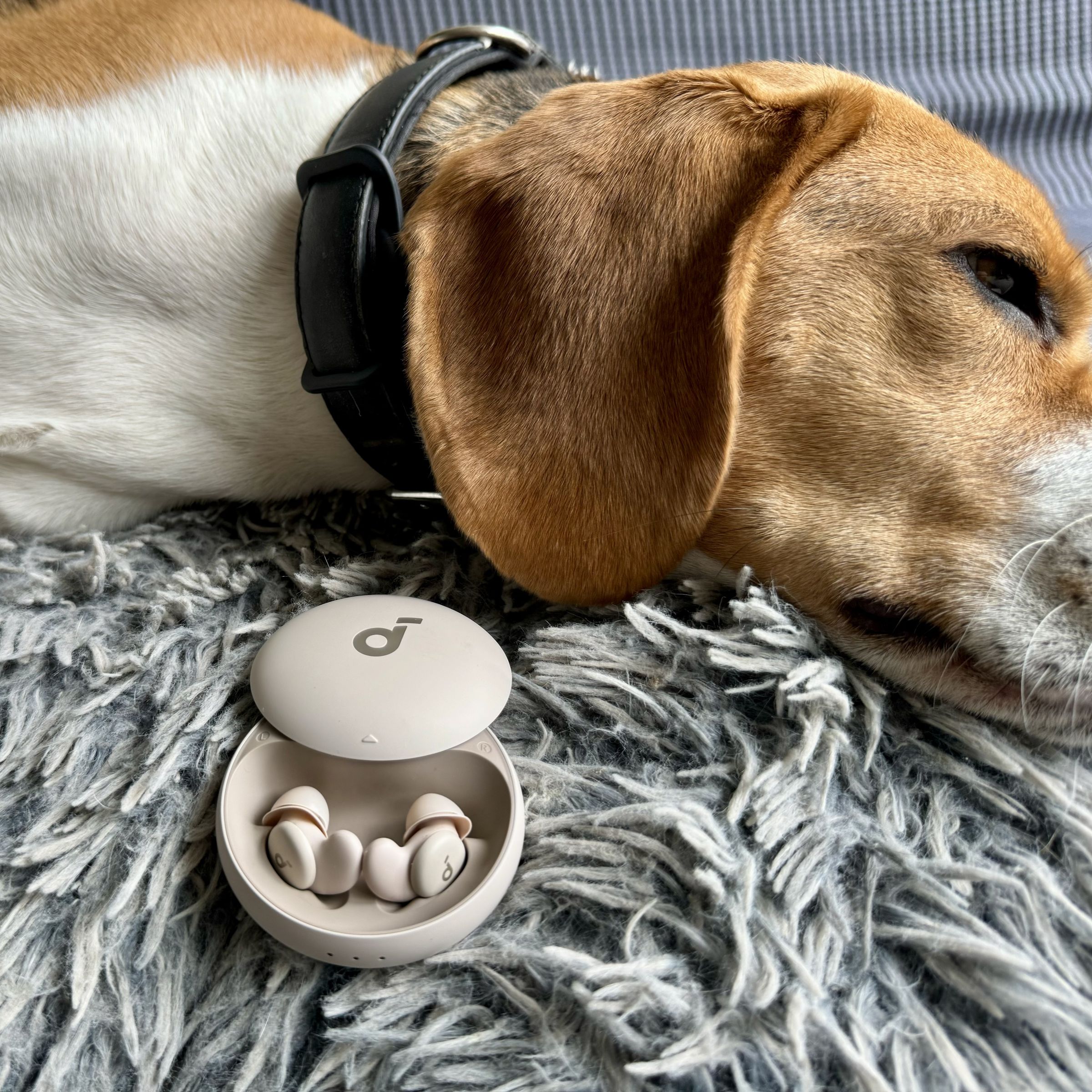 A beagle lies on its plush sleep mat with the Soundcore Sleep A20 earbuds shown in their case in the foreground.