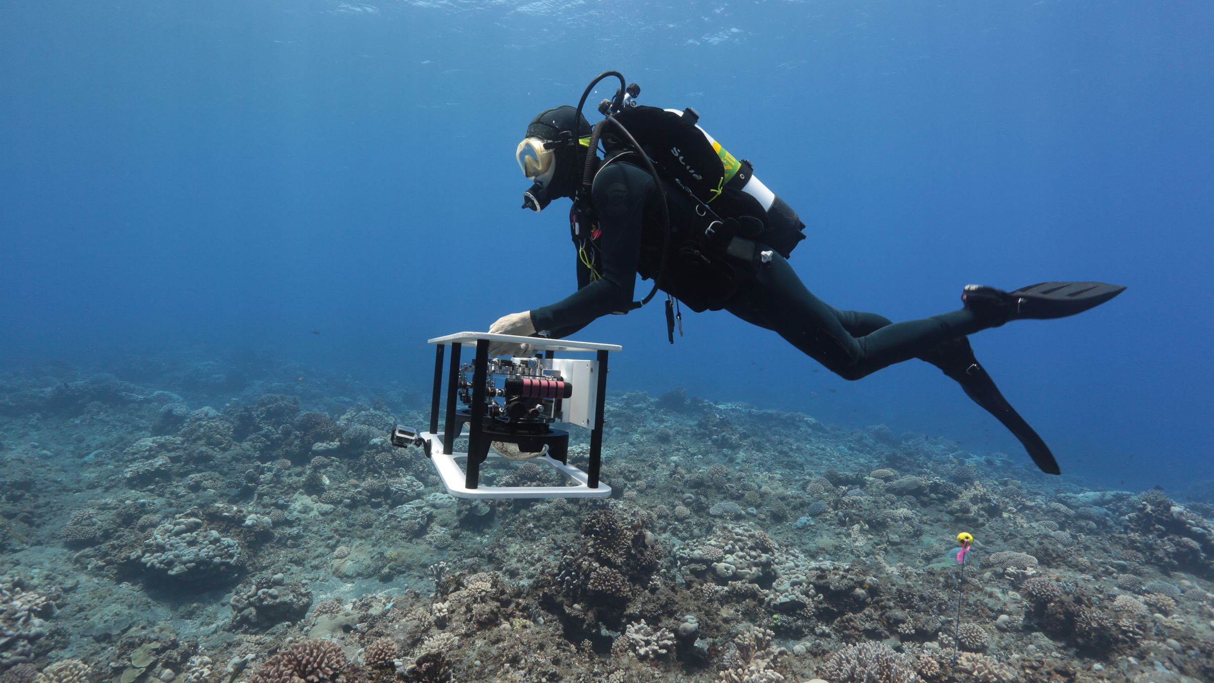 A scuba diver takes photos for the 3D visualizations at the Northern Marianas Islands, in May 2014.