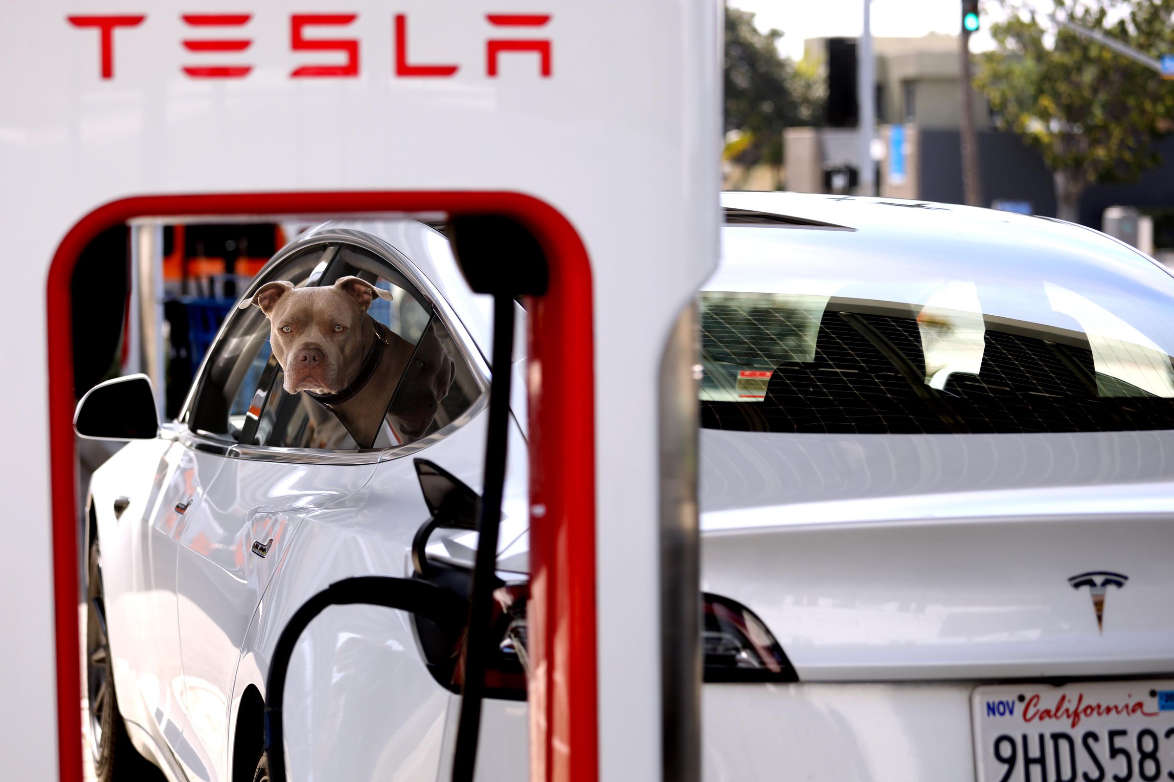 Tesla, supercharger stations