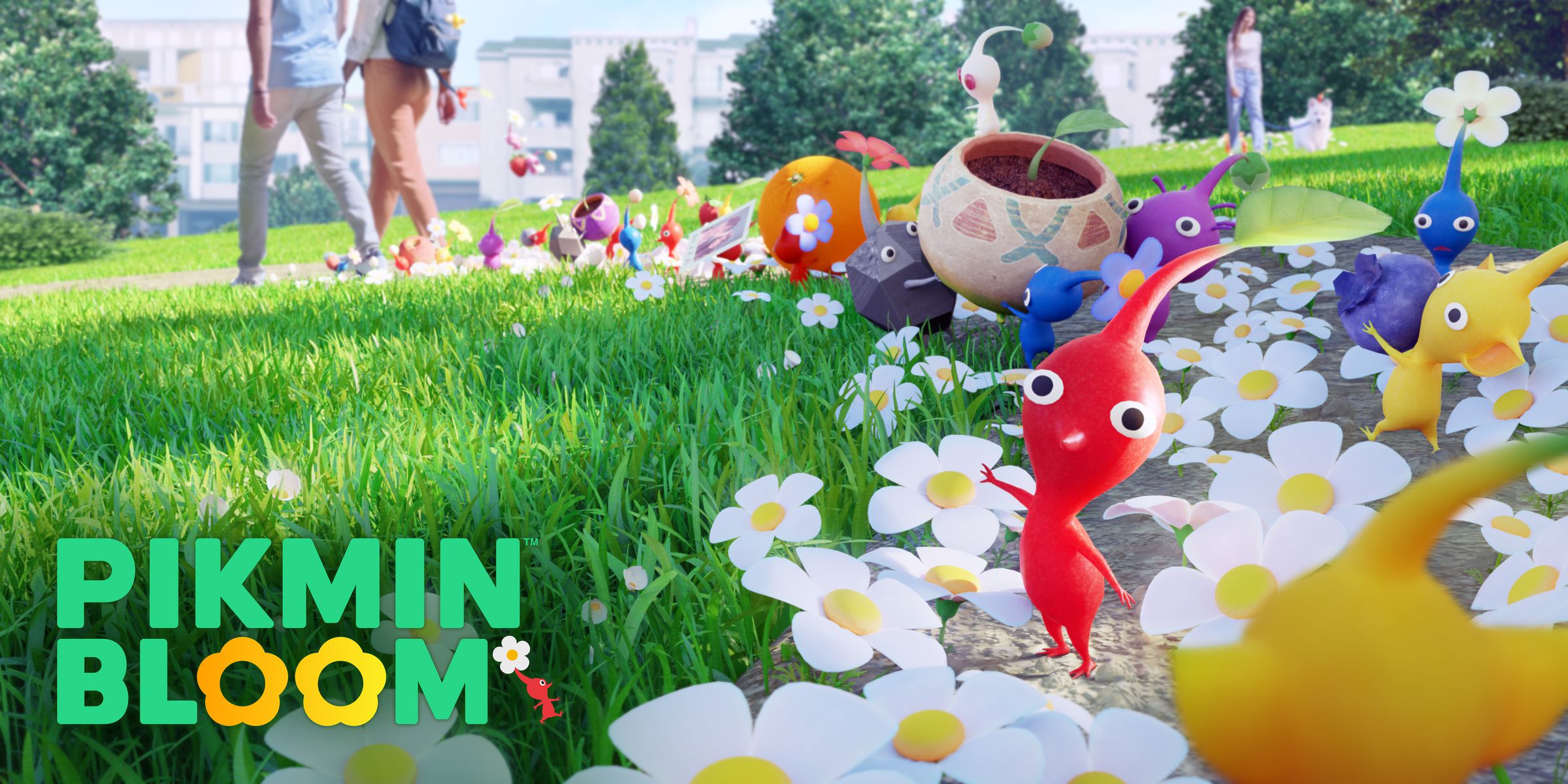 A screenshot of Pikmin Bloom: colorful little creatures with big heads in the middle of a daisy-strewn lawn.