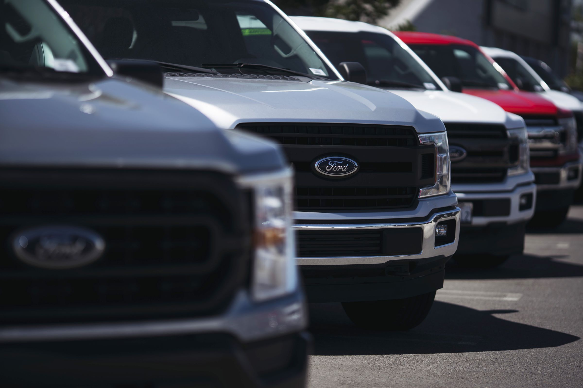 Ford vehicles at a dealership
