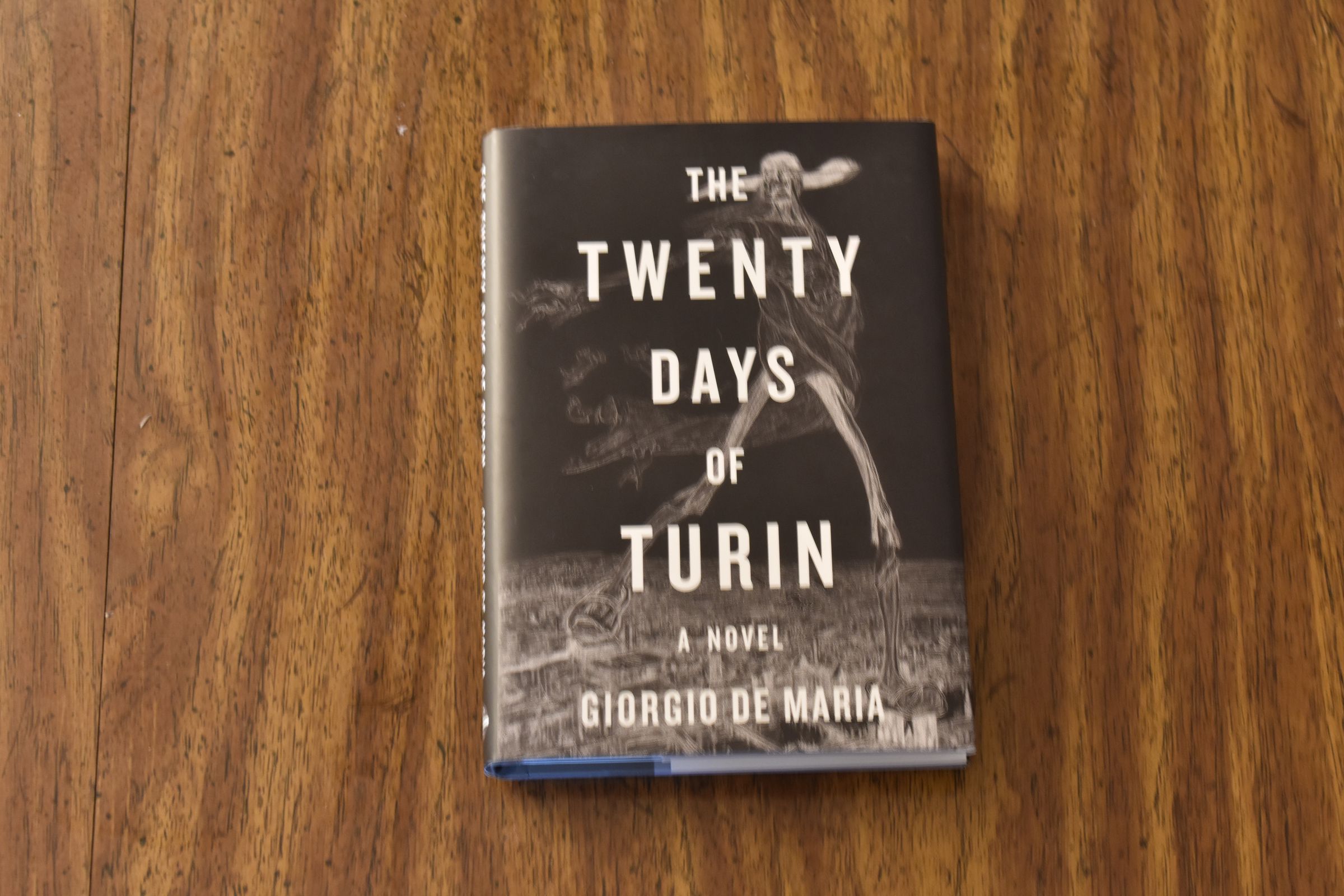 A photograph of the cover of The Twenty Days of Turin