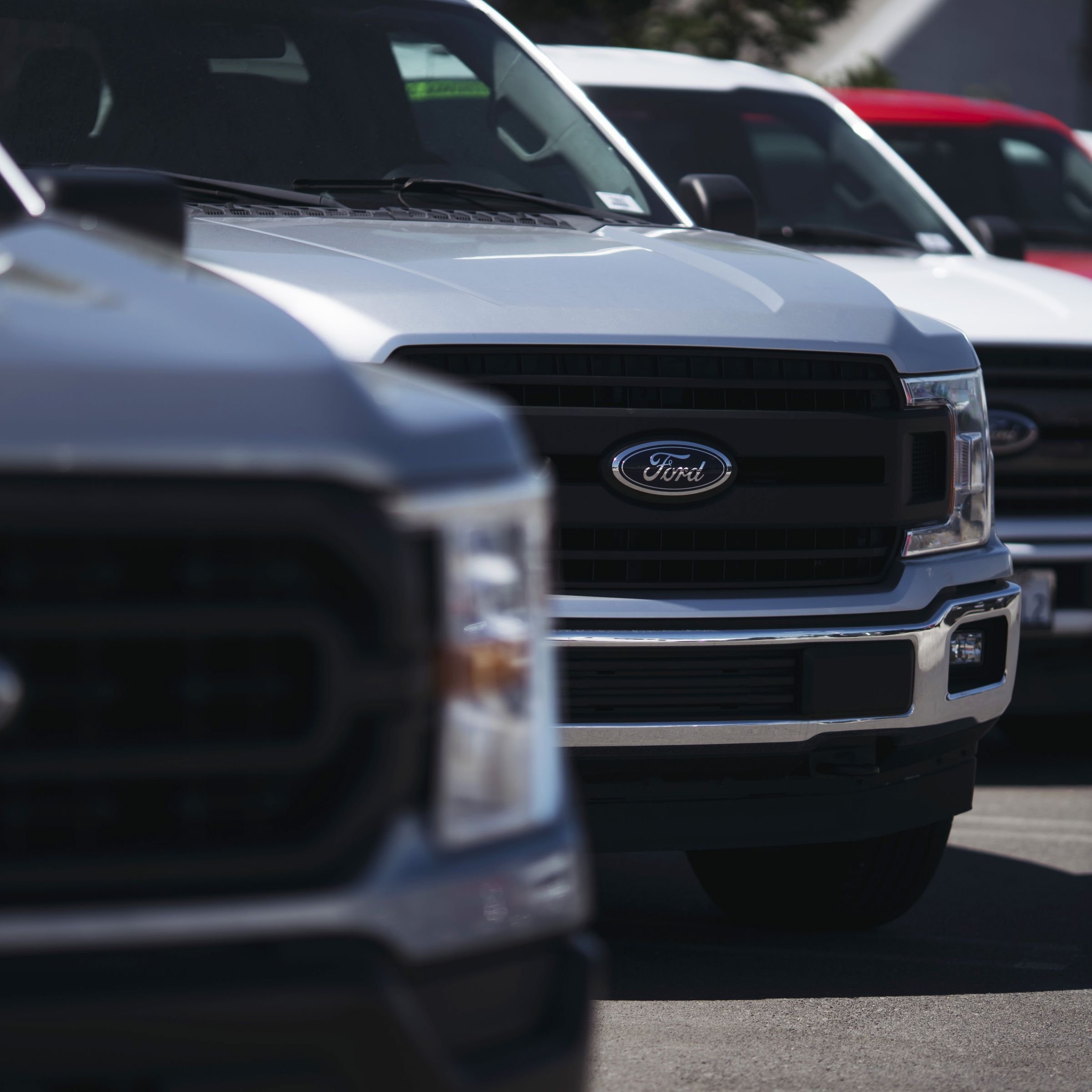 Ford vehicles at a dealership