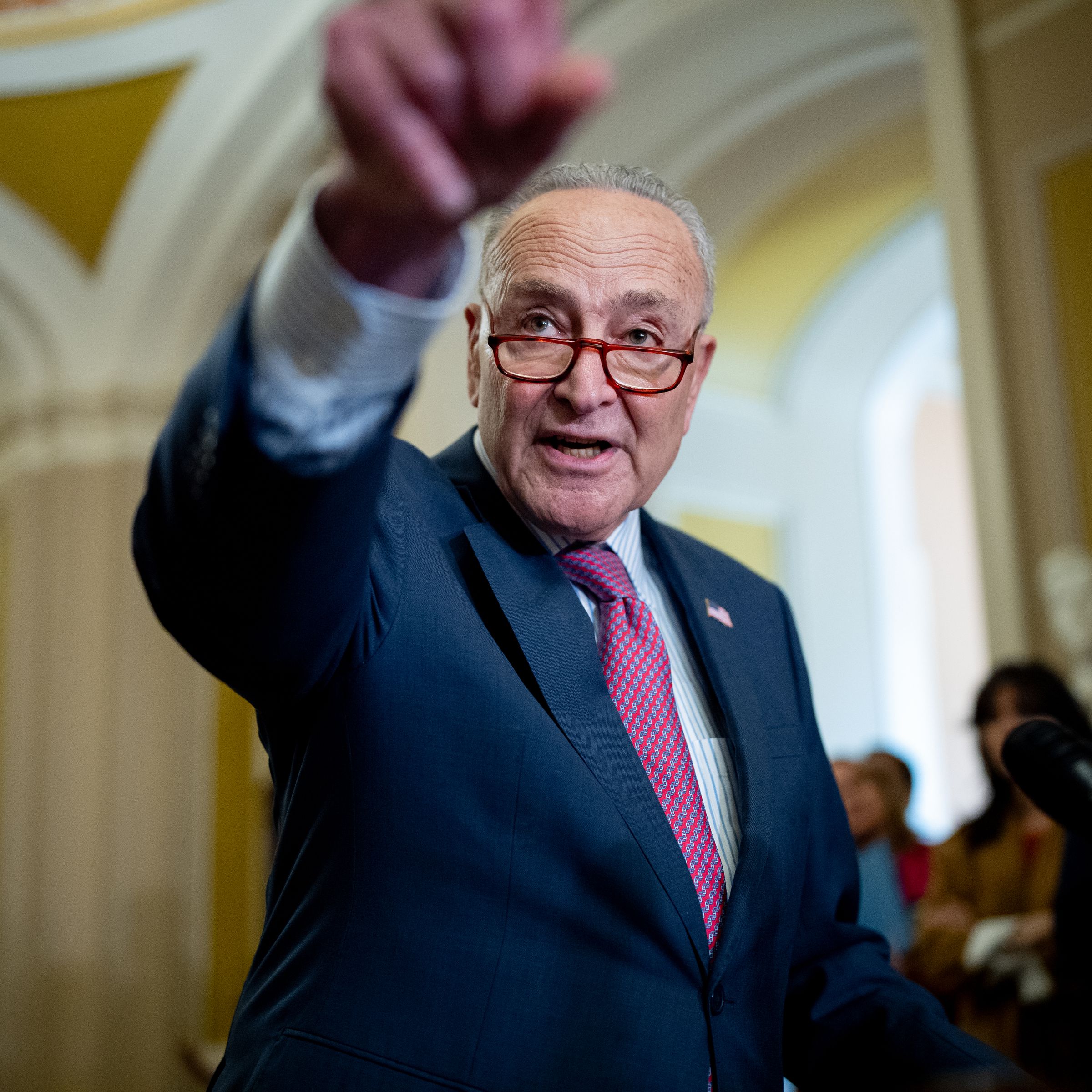 Senate Majority Leader Chuck Schumer (D-NY)