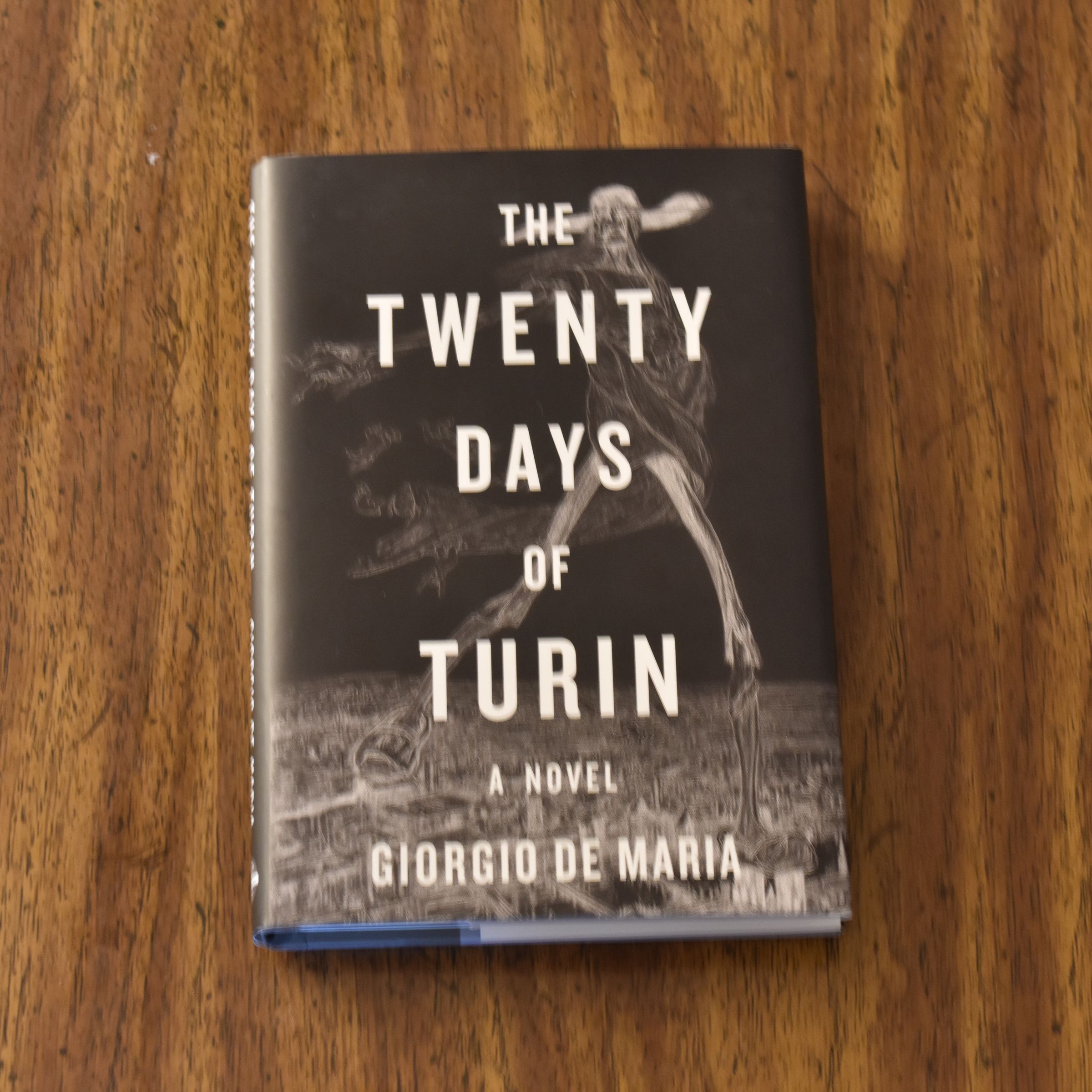 A photograph of the cover of The Twenty Days of Turin