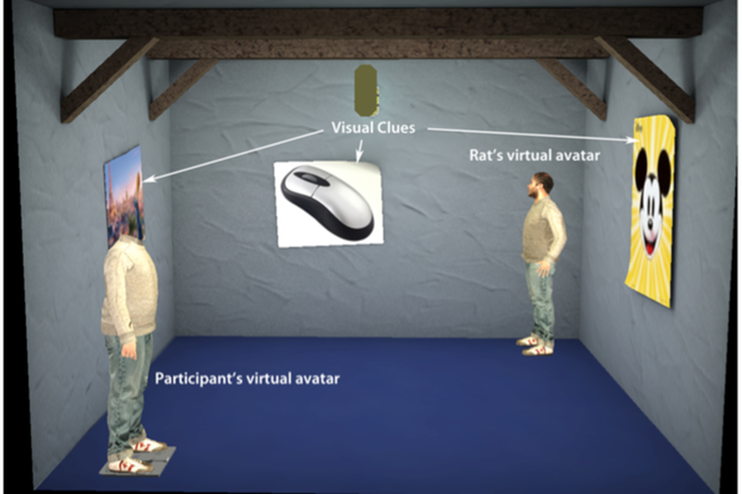 Human/rat VR interaction
