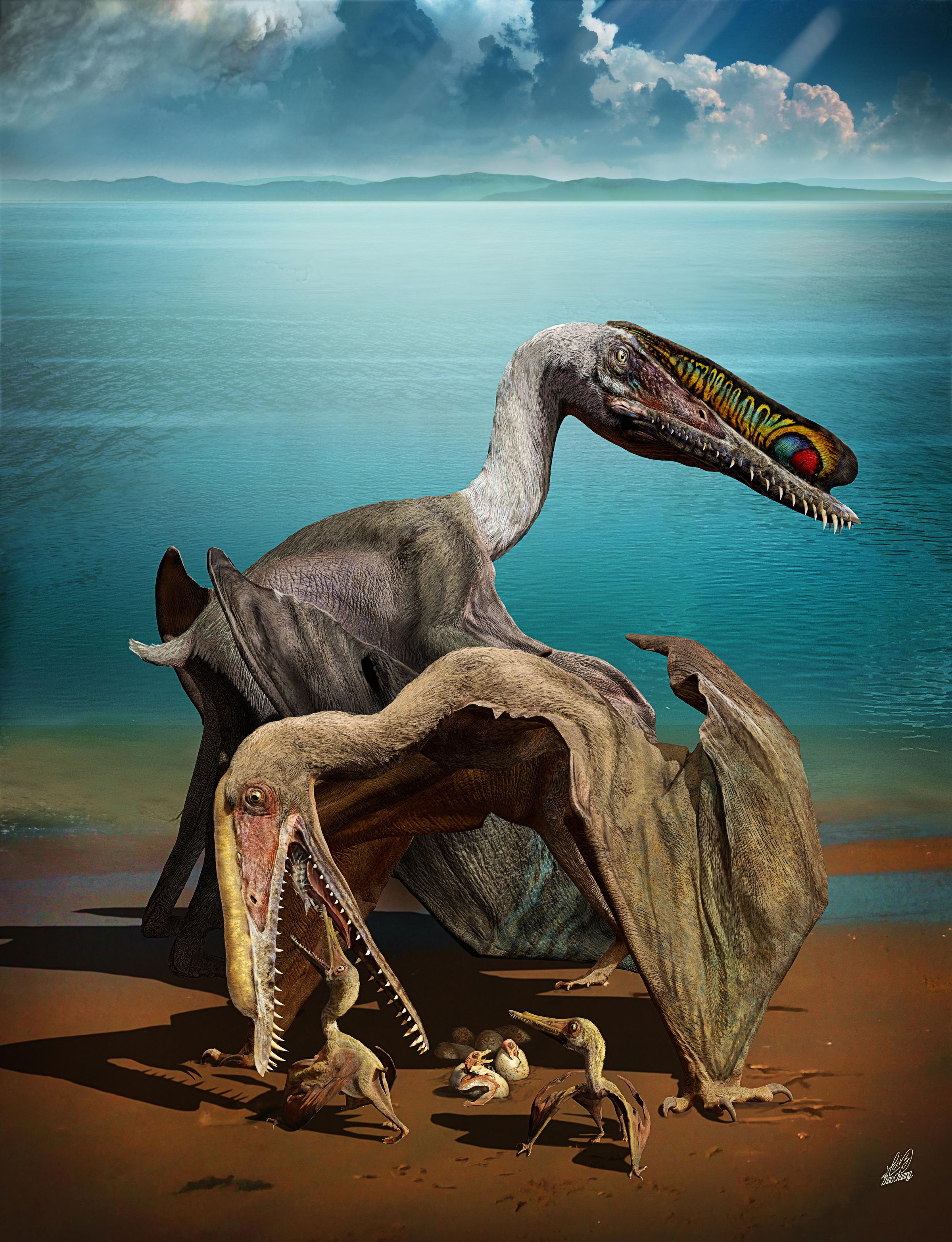 An illustration of Hamipterus tianshanensis pterosaurs with their eggs and hatchlings. 