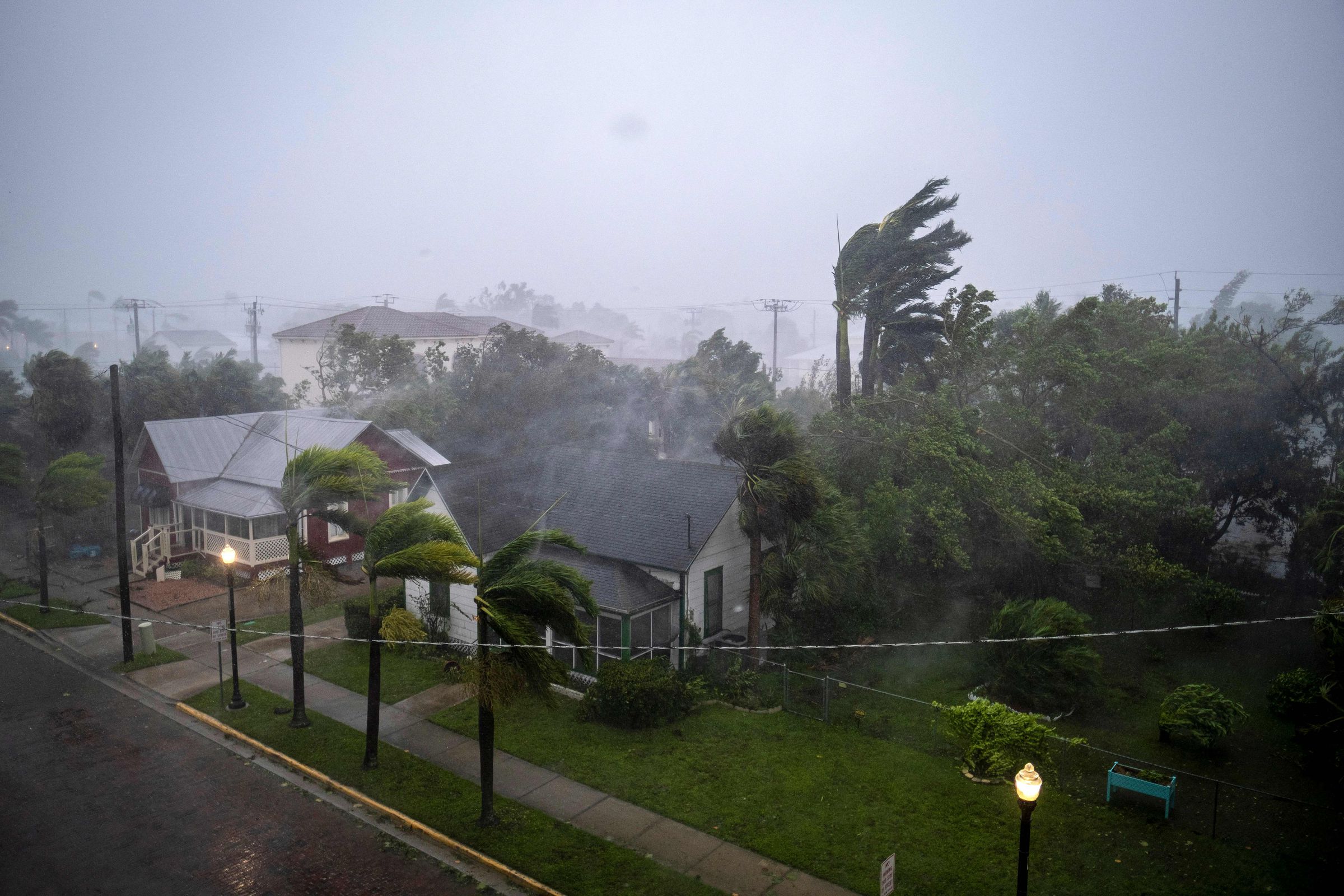 A topshot of palm trees blowing in the wind above homes in a dark storm.